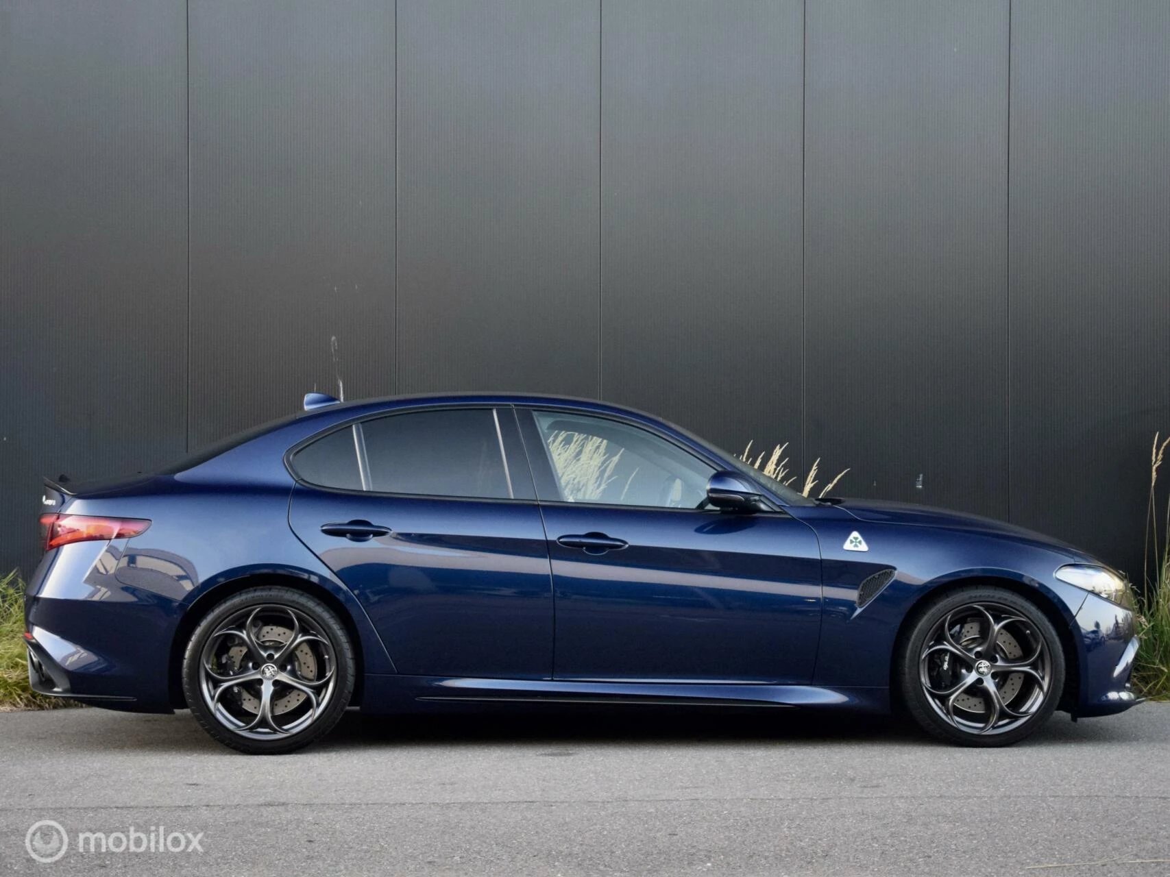 Hoofdafbeelding Alfa Romeo Giulia