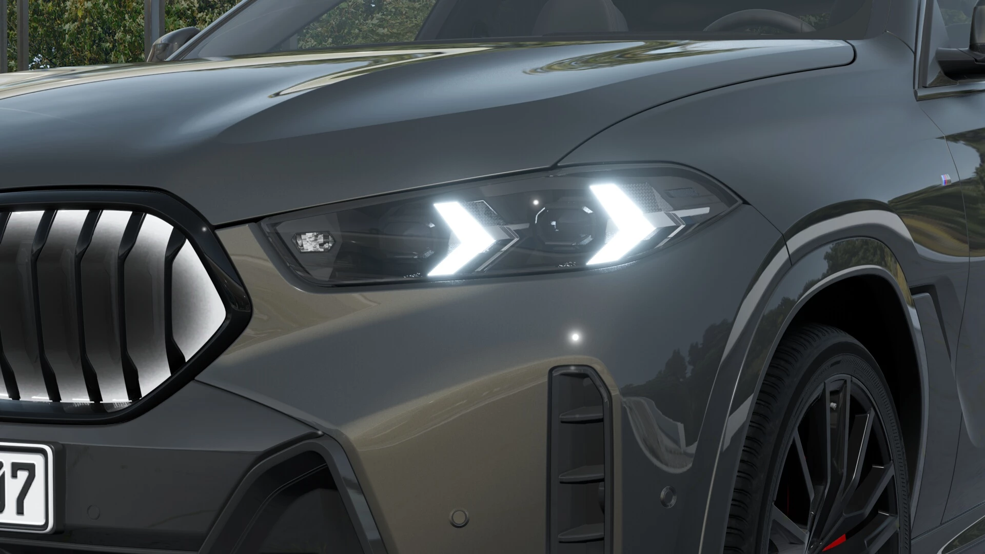 Hoofdafbeelding BMW X6