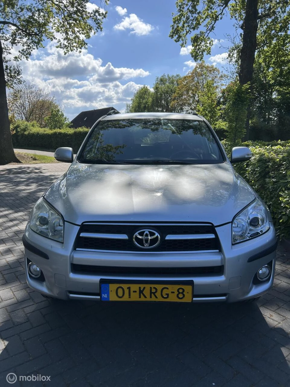 Hoofdafbeelding Toyota RAV4