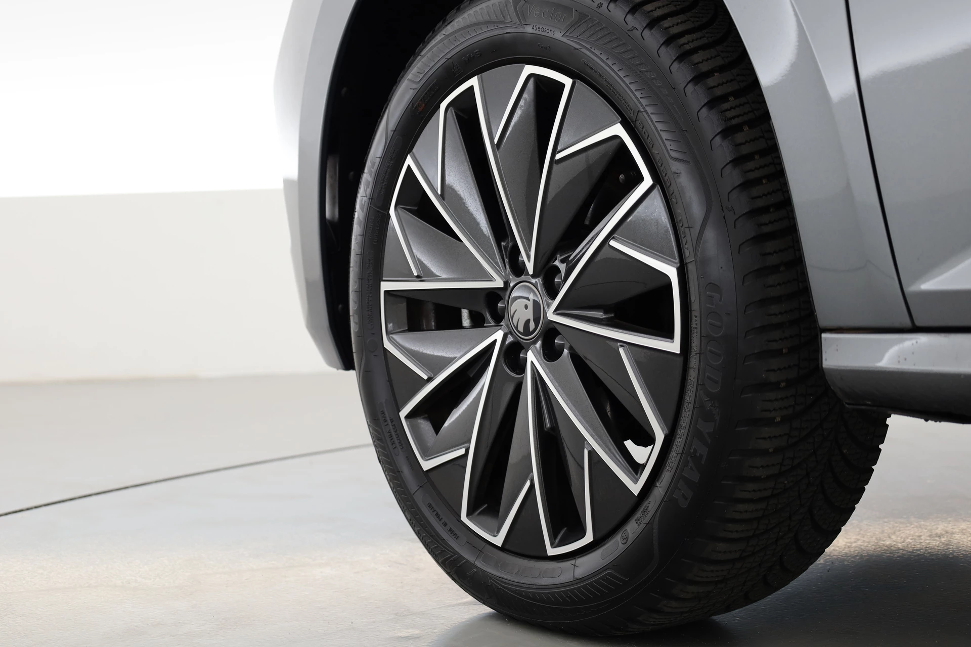 Hoofdafbeelding Škoda Kamiq