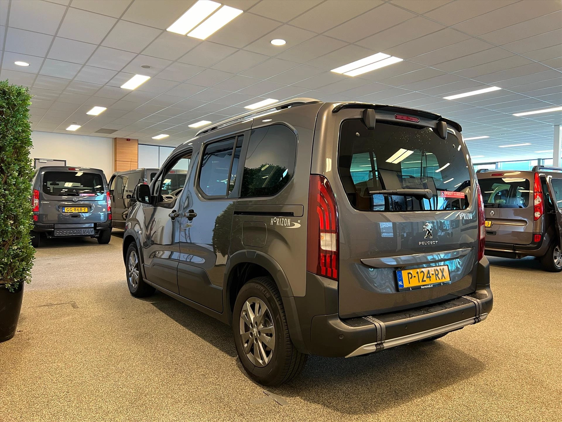 Hoofdafbeelding Peugeot Rifter