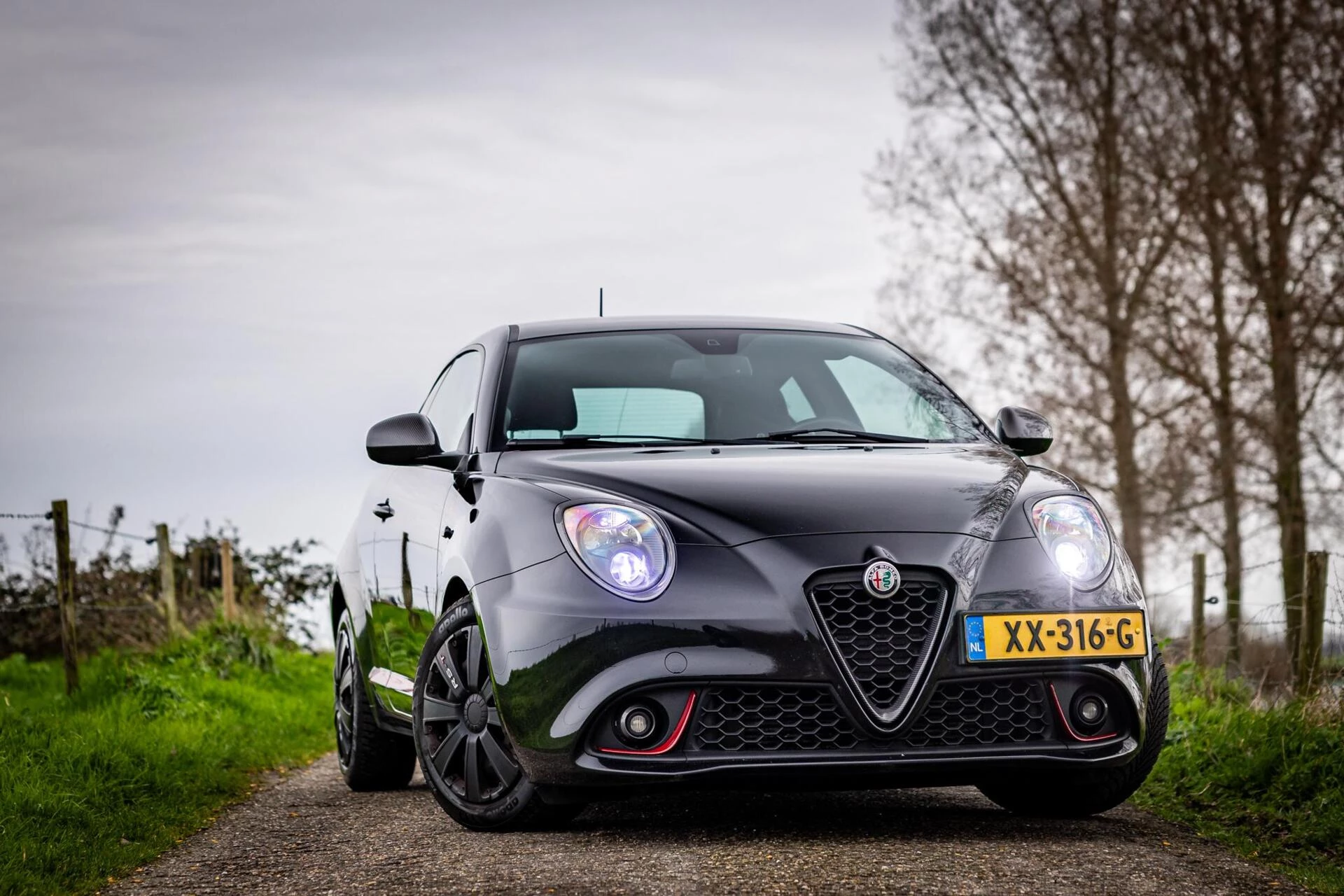 Hoofdafbeelding Alfa Romeo MiTo