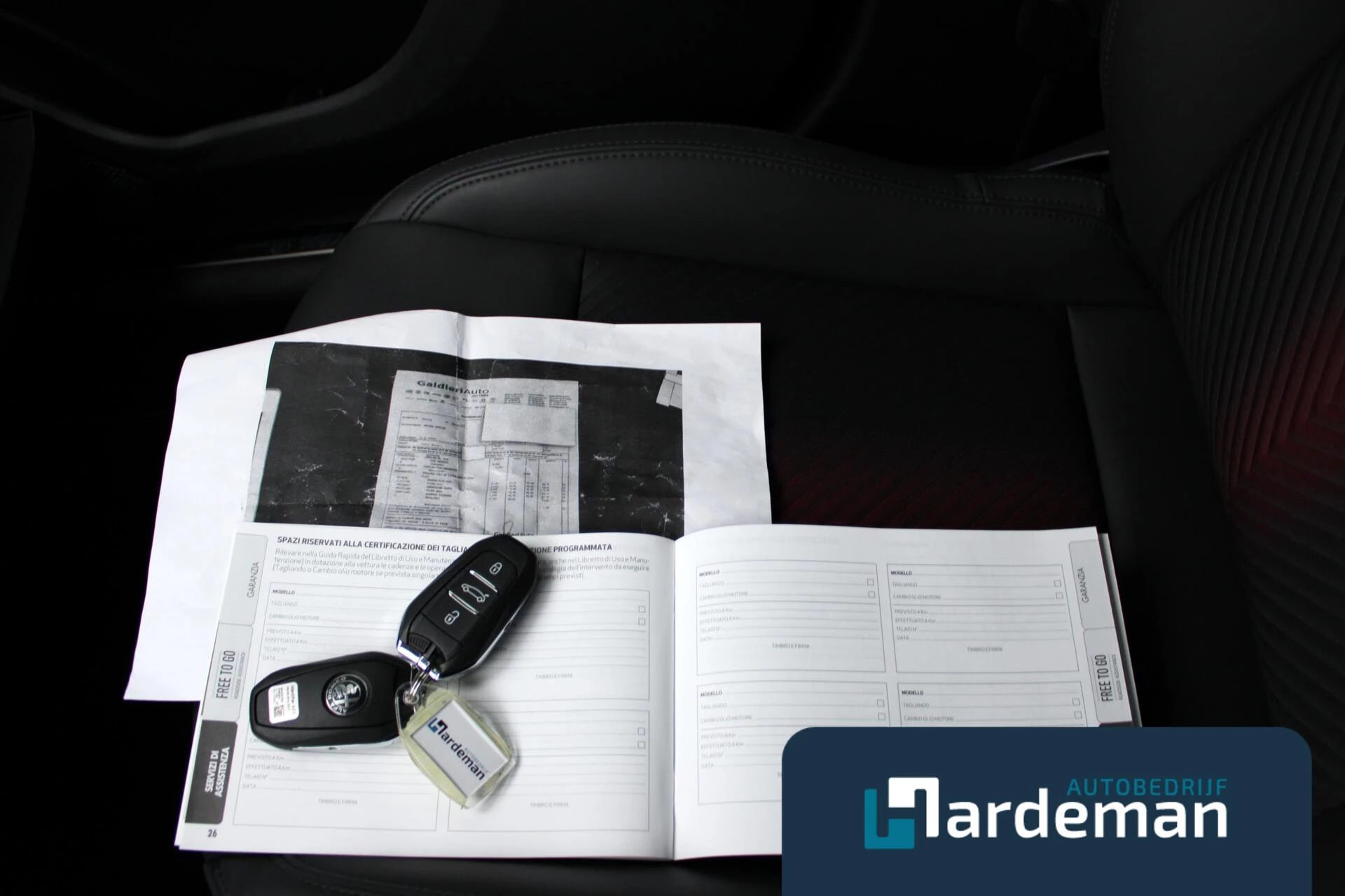 Hoofdafbeelding Alfa Romeo Junior