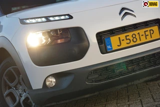 Citroen C4 Cactus 1.2 PureTech Shine AUTOMAAT | Natural White | Camera/Navi/Cruise/PDC - Keurig!