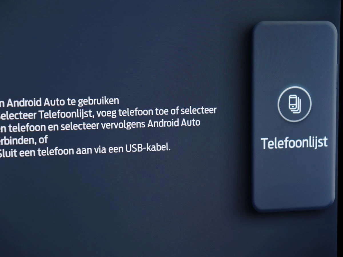 Hoofdafbeelding Ford Mustang Mach-E