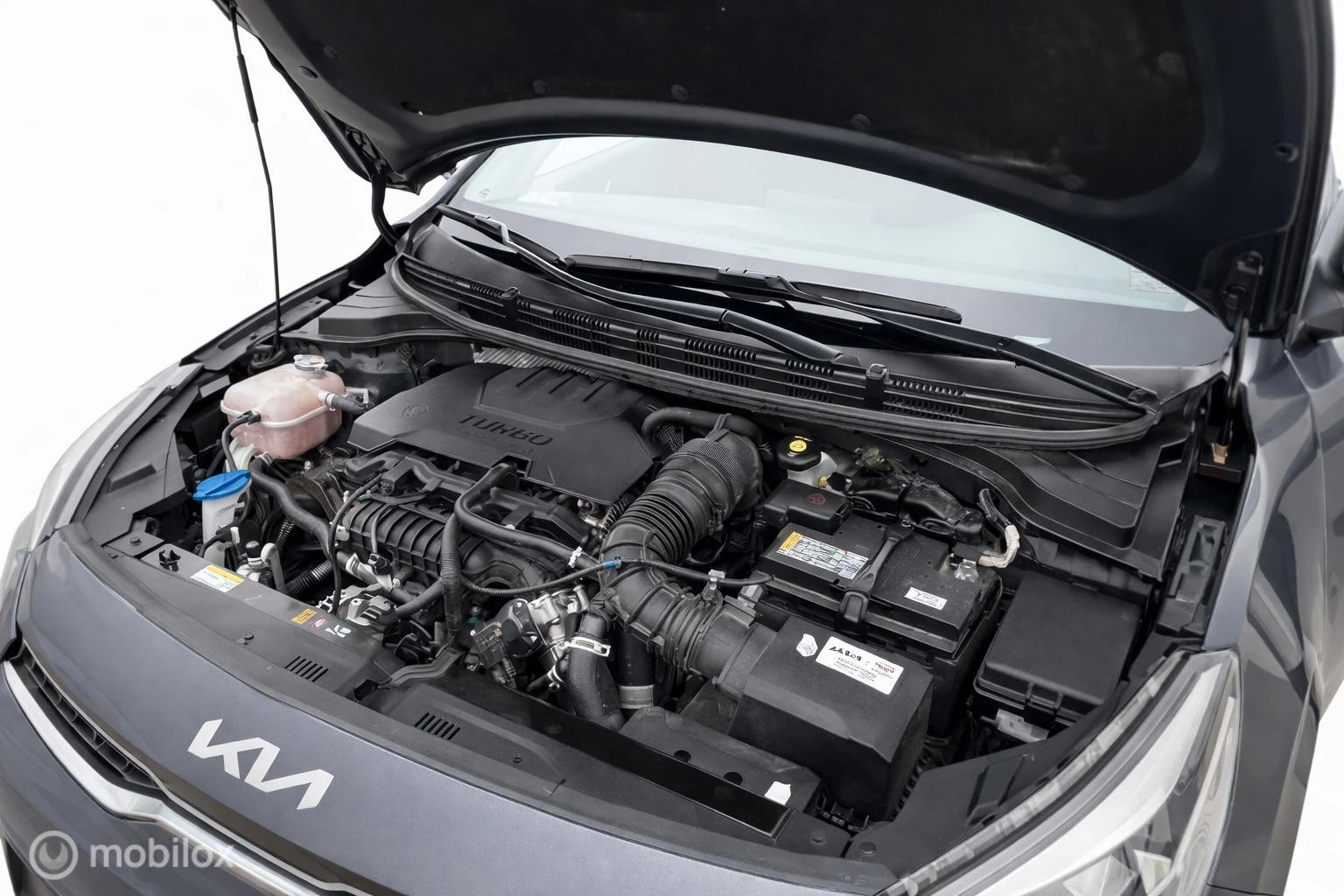 Hoofdafbeelding Kia Rio