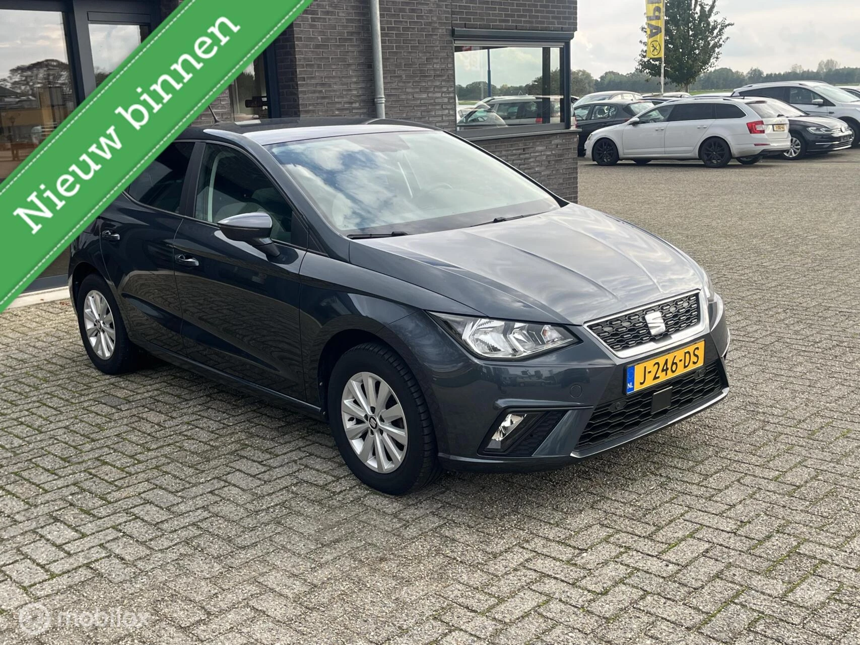 Hoofdafbeelding SEAT Ibiza