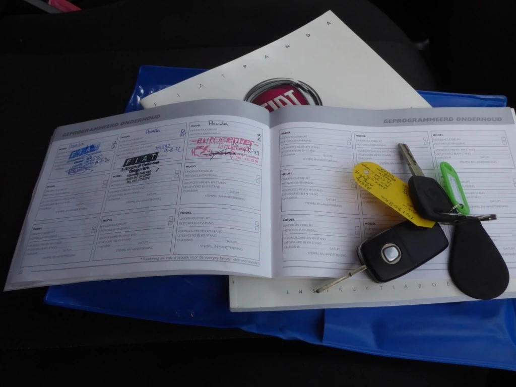 Hoofdafbeelding Fiat Panda