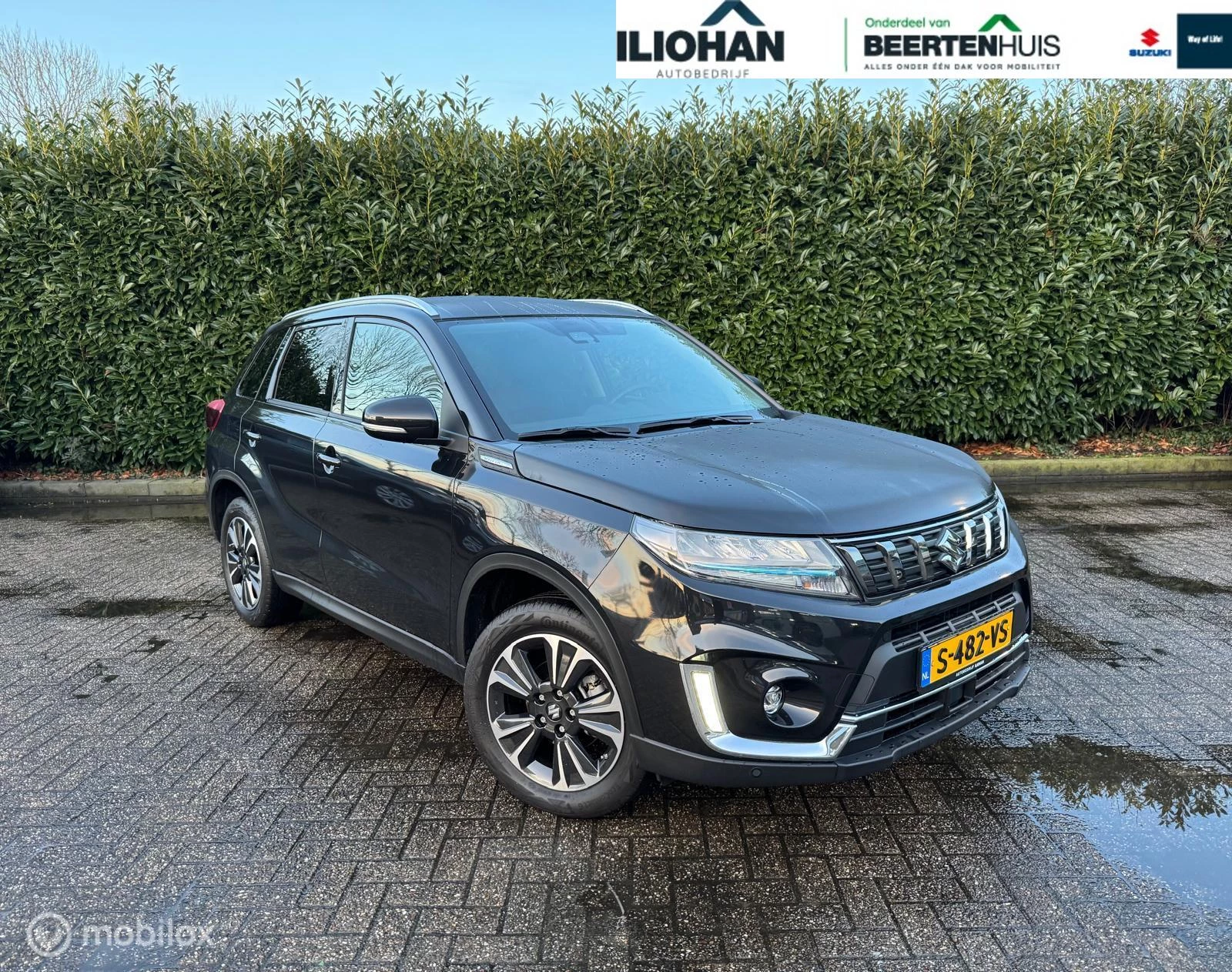 Hoofdafbeelding Suzuki Vitara