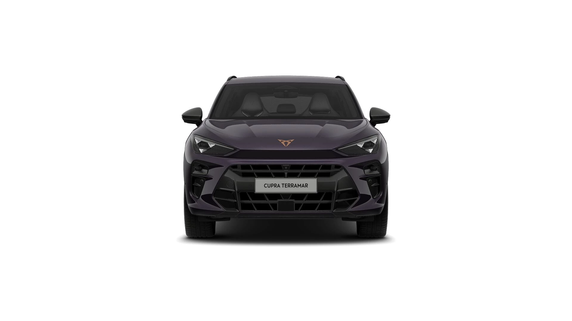 Hoofdafbeelding CUPRA Terramar