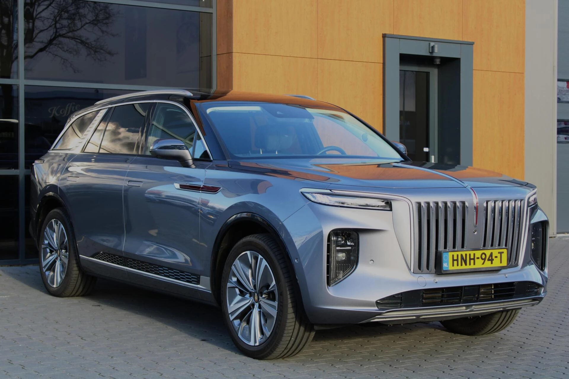 Hoofdafbeelding Hongqi E-HS9