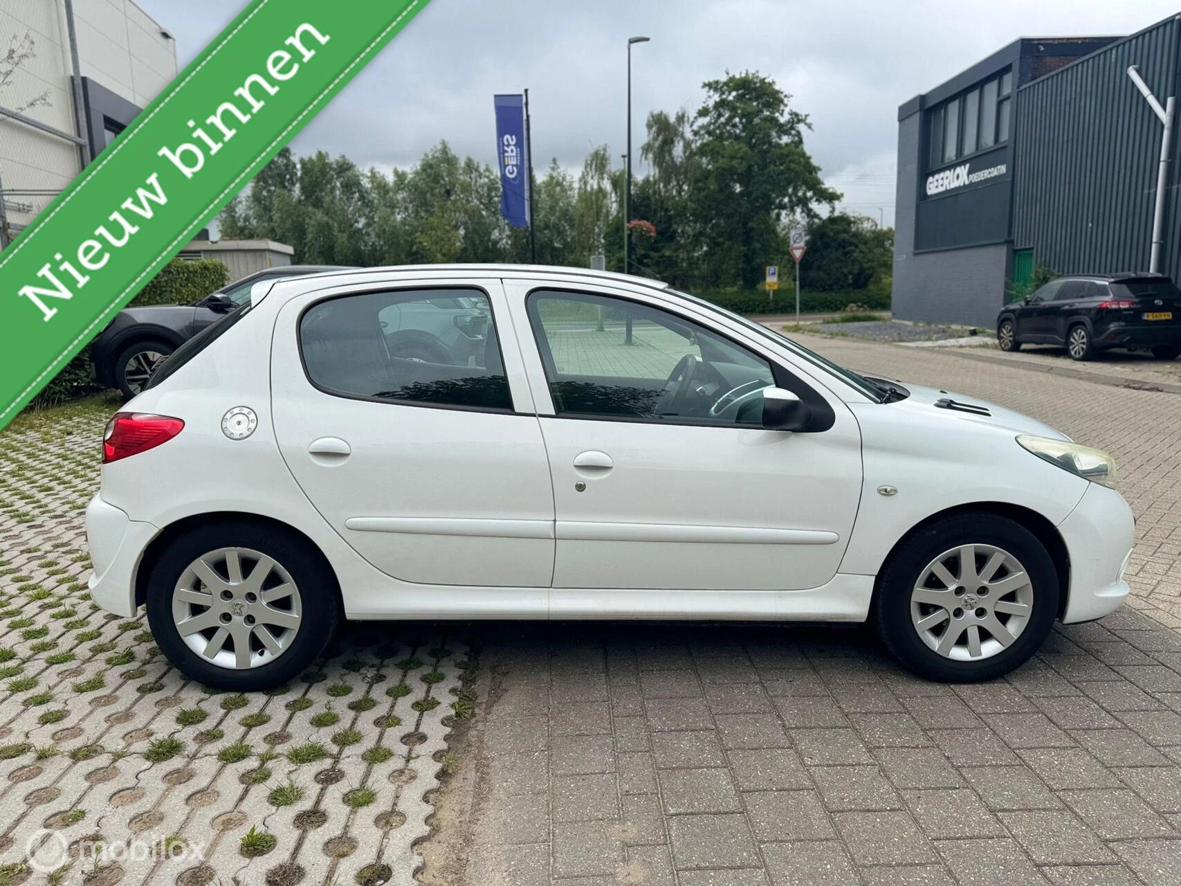 Hoofdafbeelding Peugeot 206