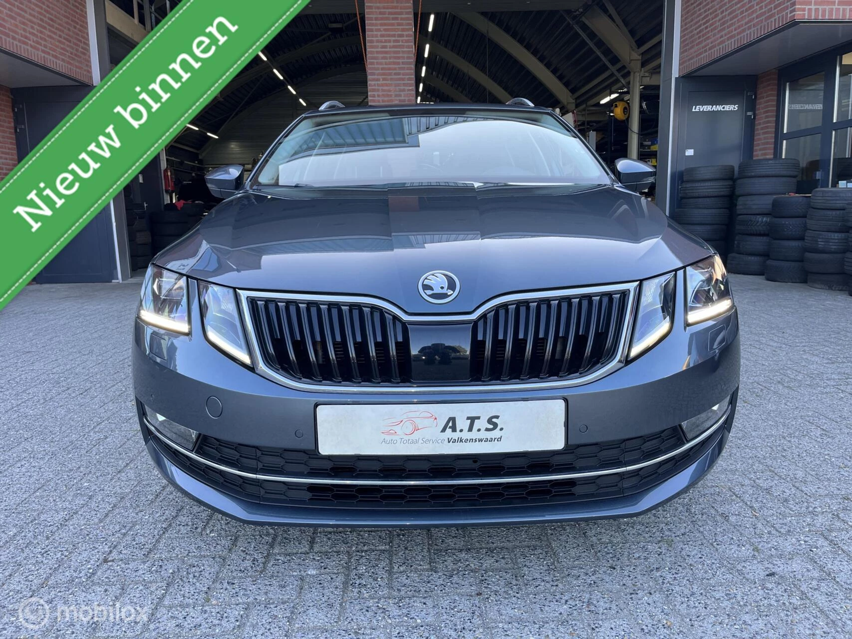 Hoofdafbeelding Škoda Octavia