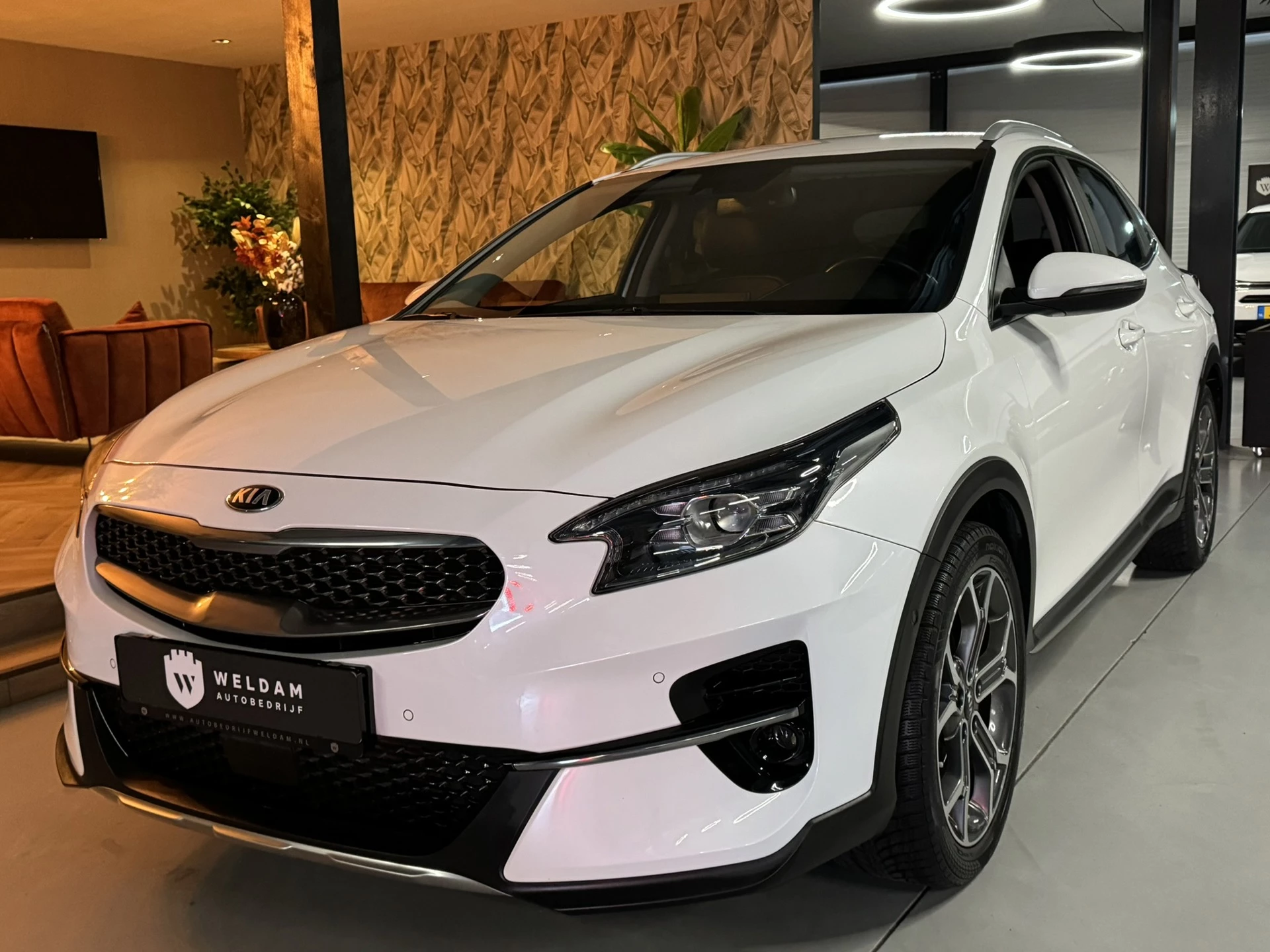 Hoofdafbeelding Kia XCeed