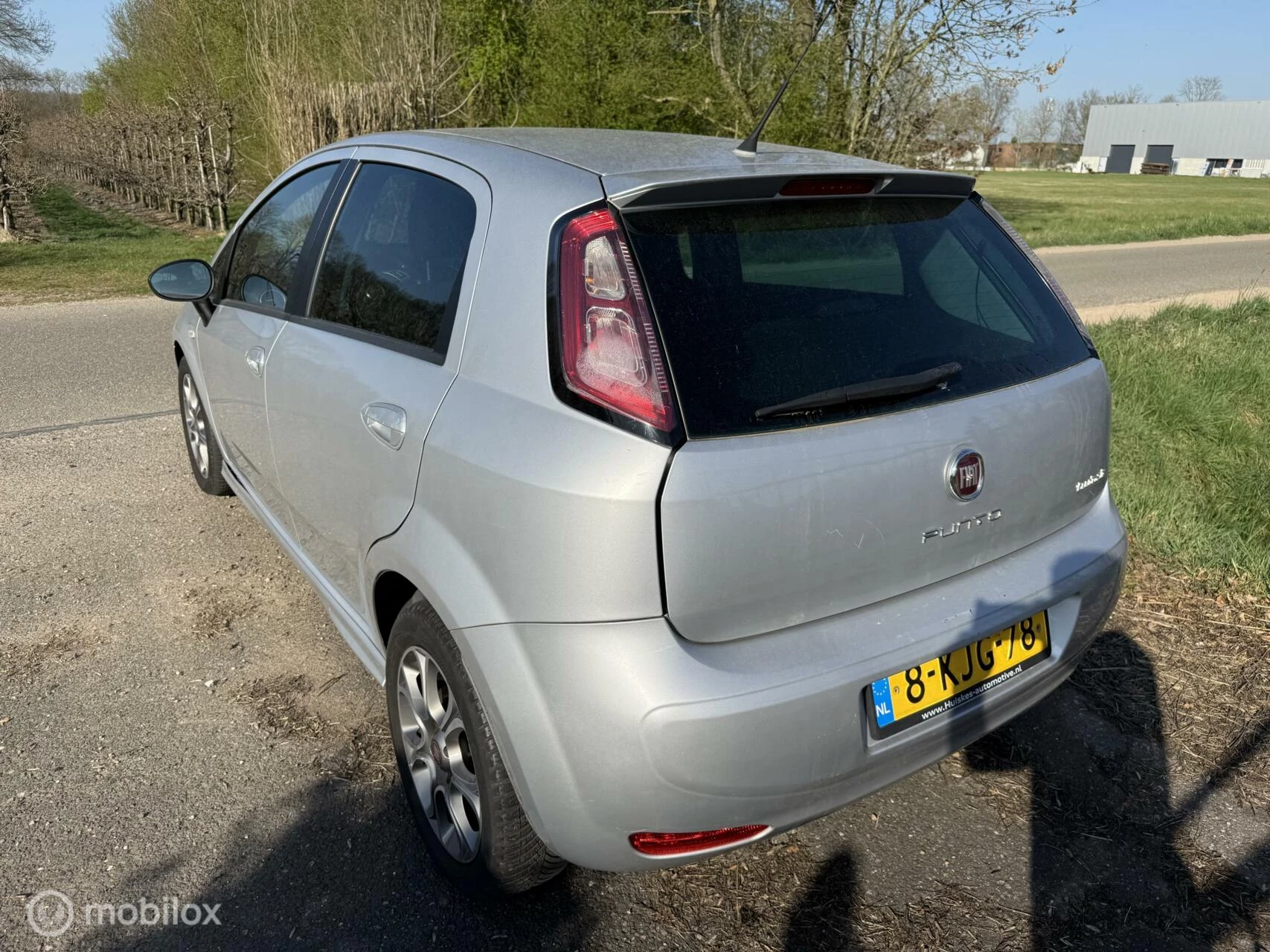 Hoofdafbeelding Fiat Punto