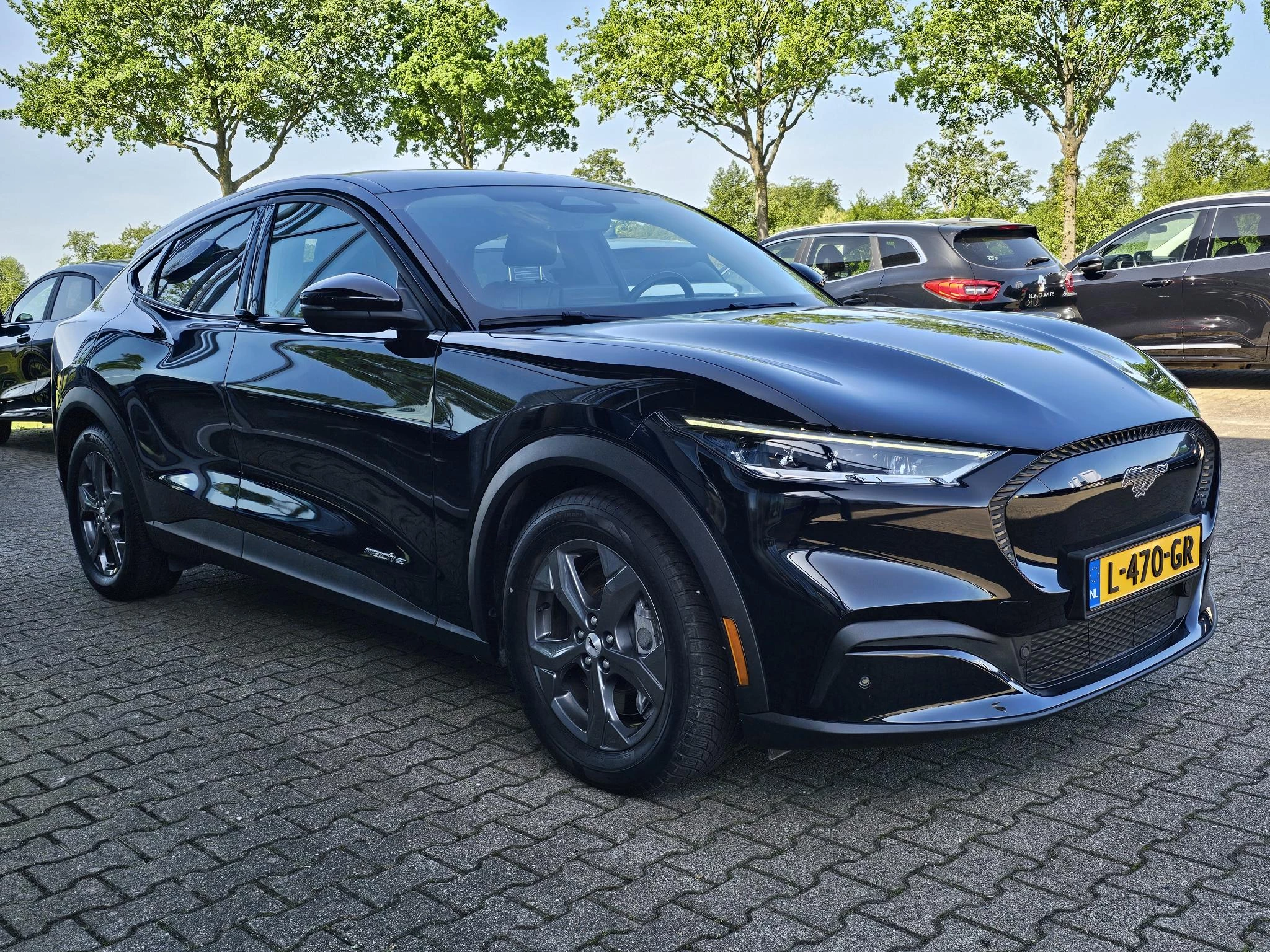 Hoofdafbeelding Ford Mustang Mach-E