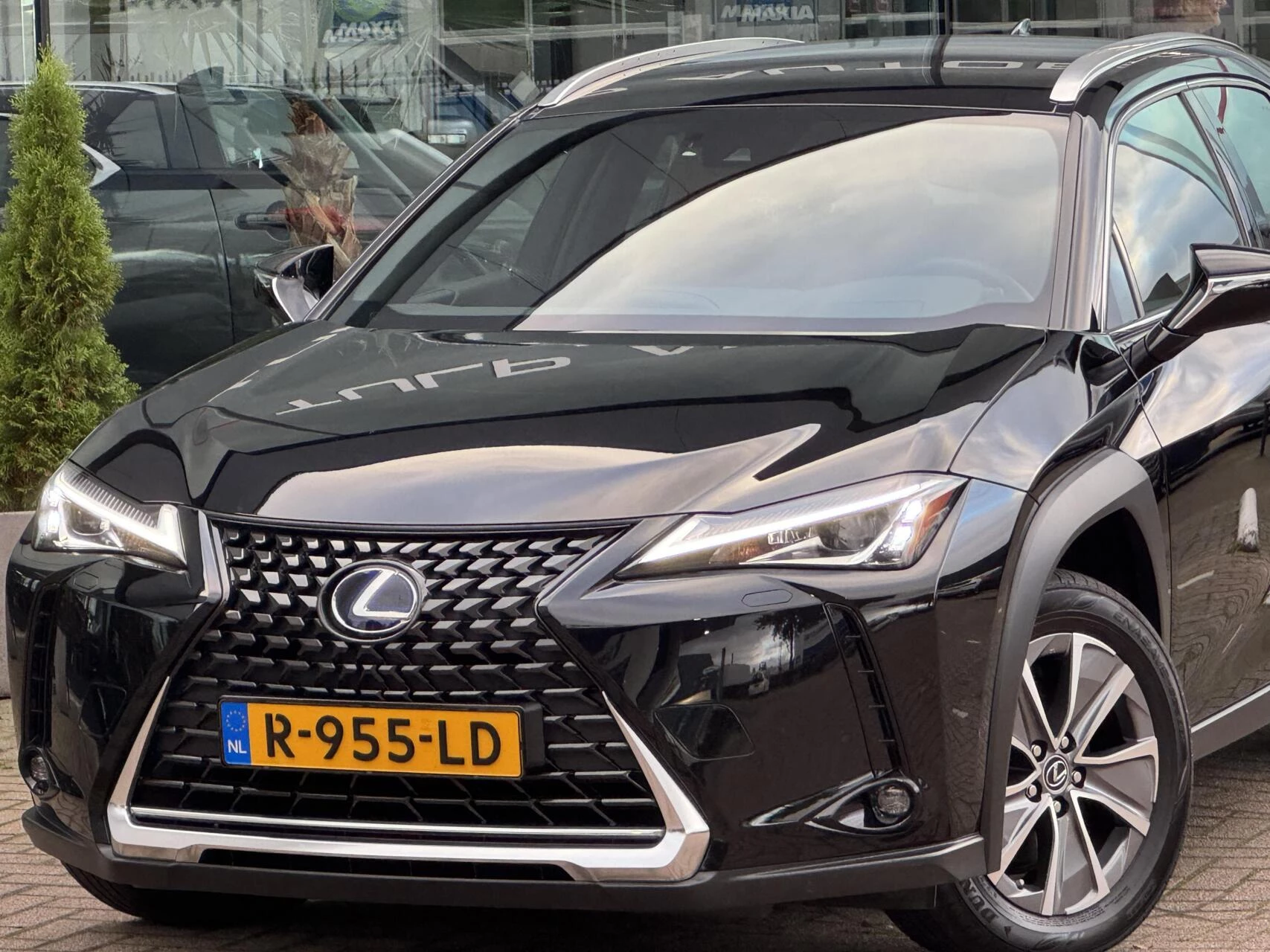 Hoofdafbeelding Lexus UX
