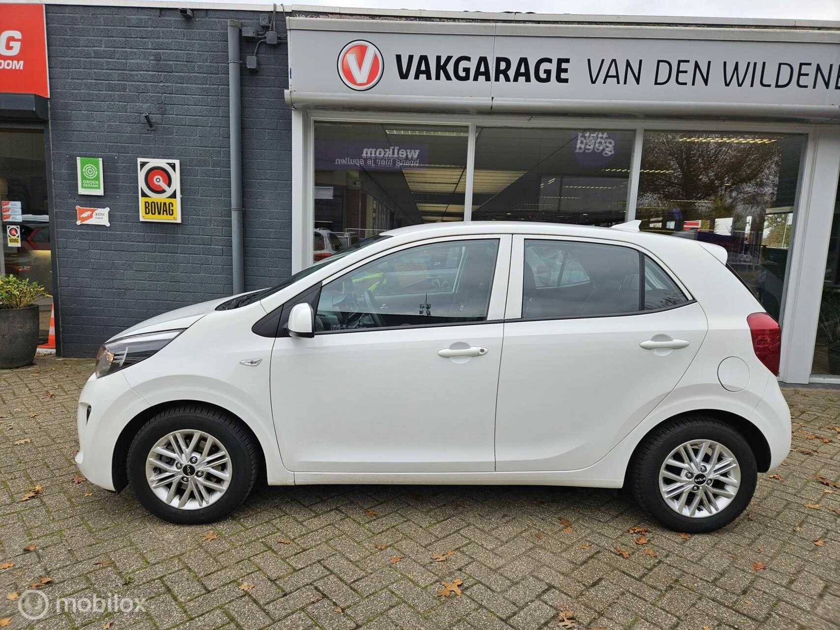 Hoofdafbeelding Kia Picanto