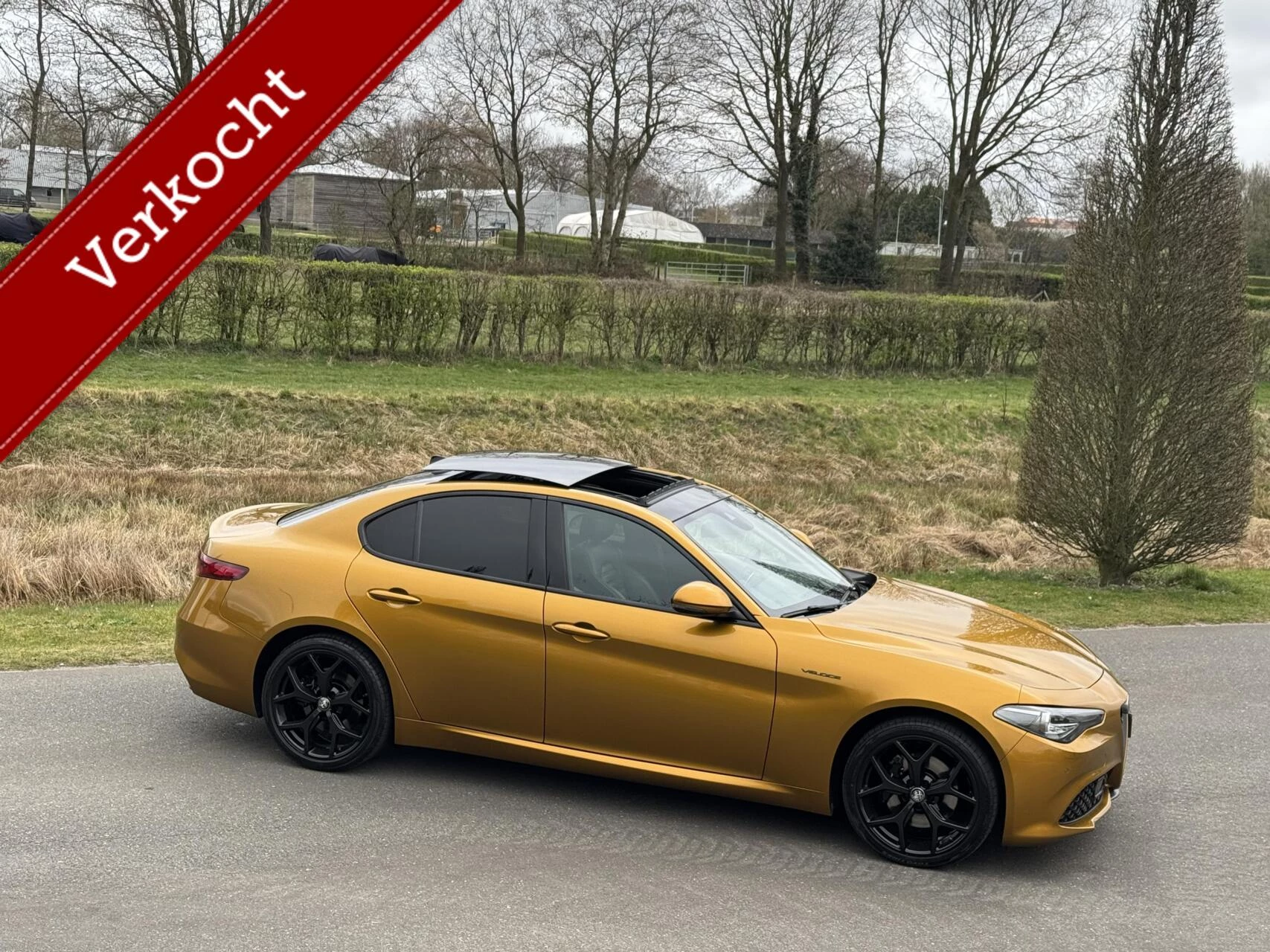 Hoofdafbeelding Alfa Romeo Giulia
