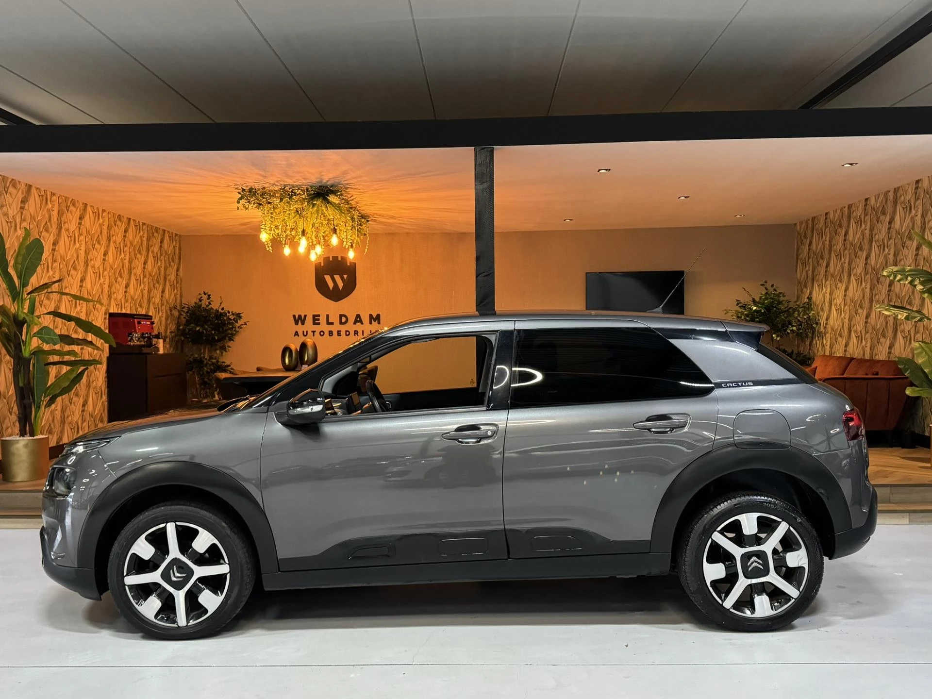 Hoofdafbeelding Citroën C4 Cactus