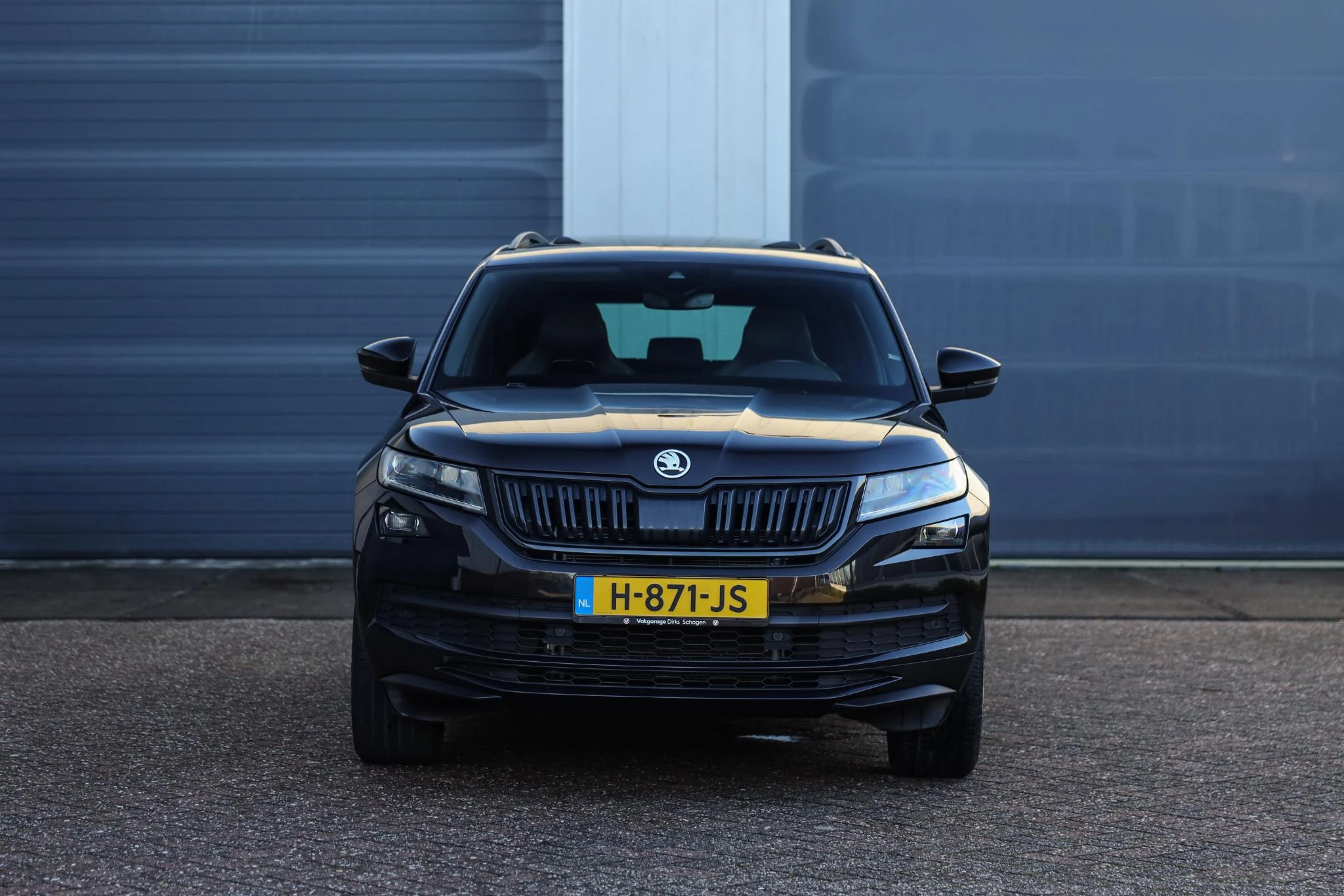 Hoofdafbeelding Škoda Kodiaq