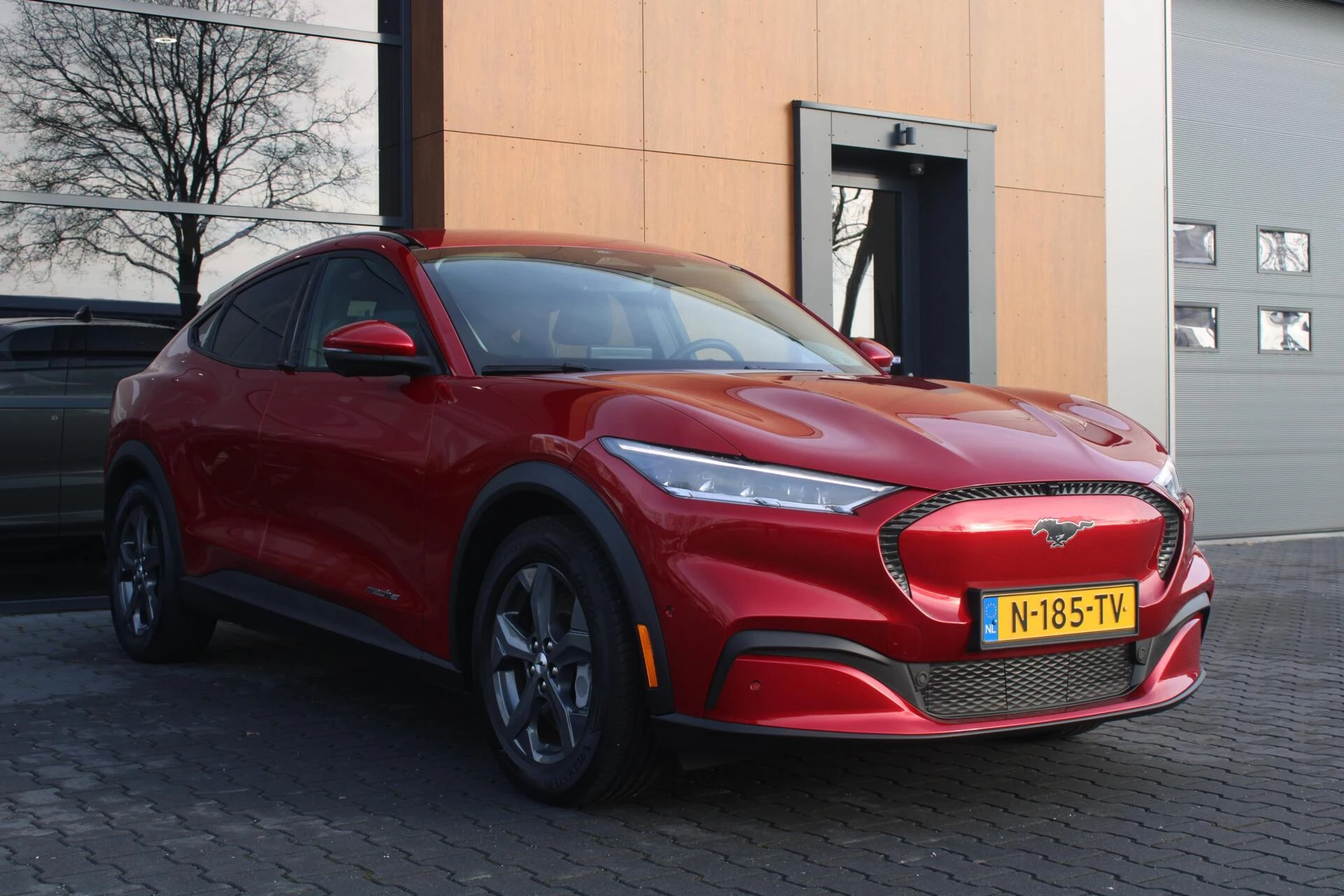 Hoofdafbeelding Ford Mustang Mach-E