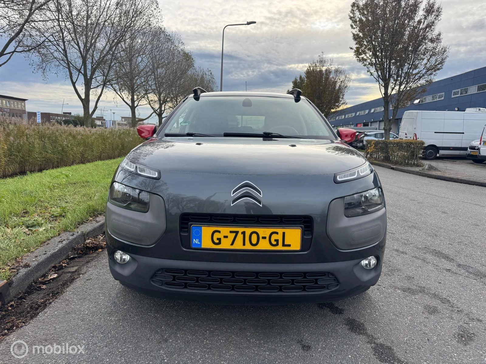Hoofdafbeelding Citroën C4 Cactus