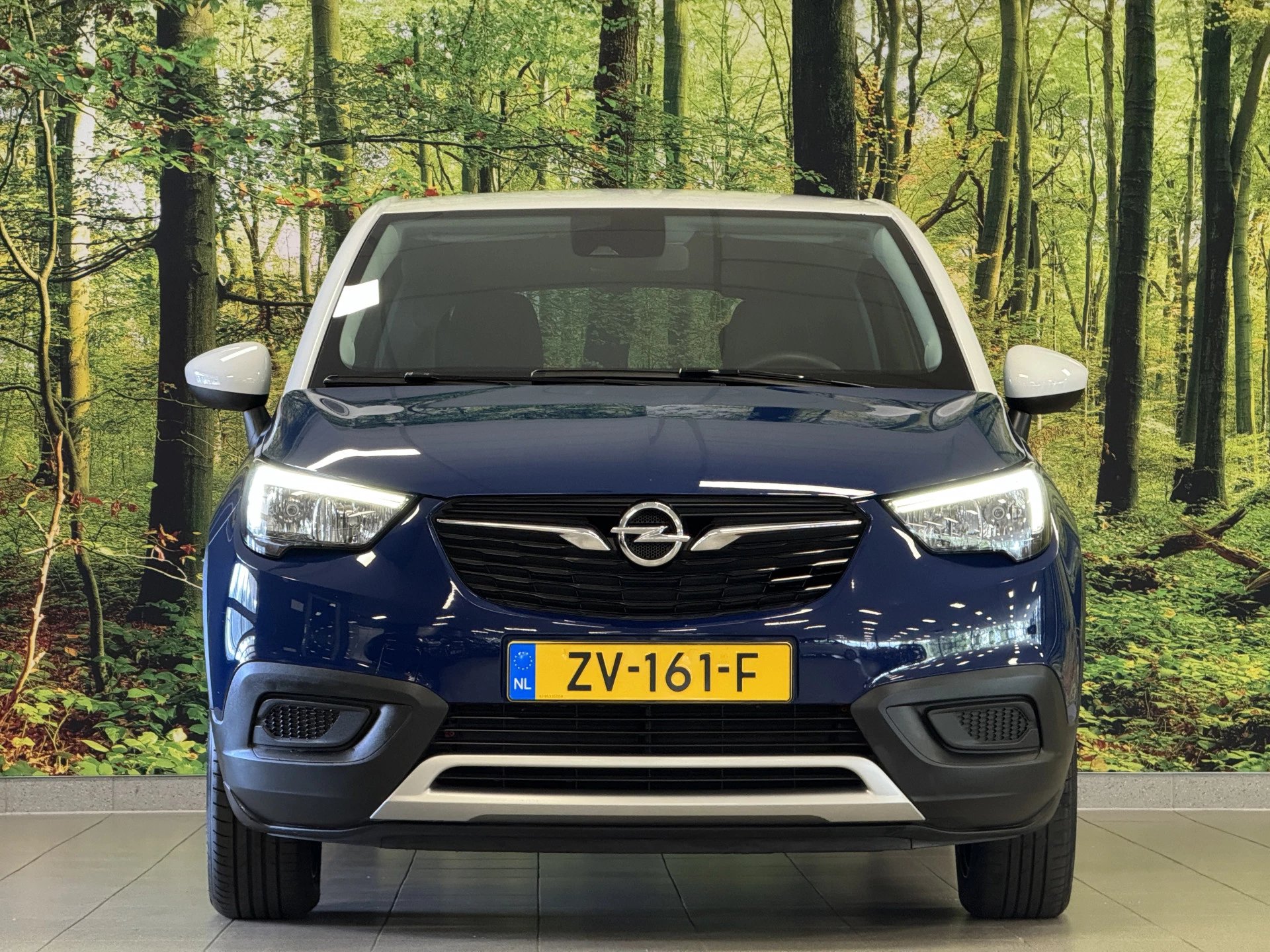 Hoofdafbeelding Opel Crossland X