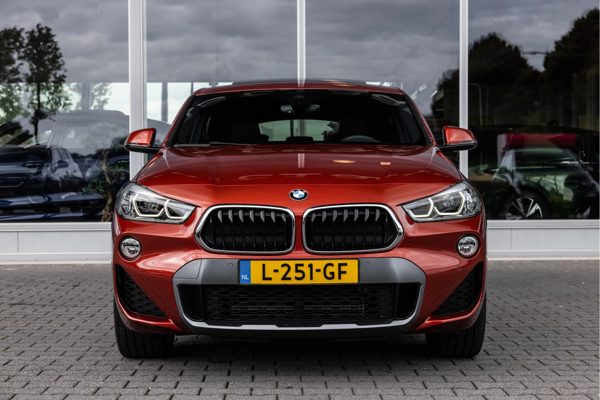 Hoofdafbeelding BMW X2