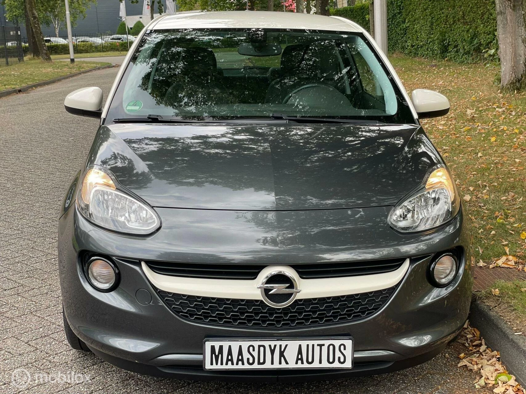 Hoofdafbeelding Opel ADAM
