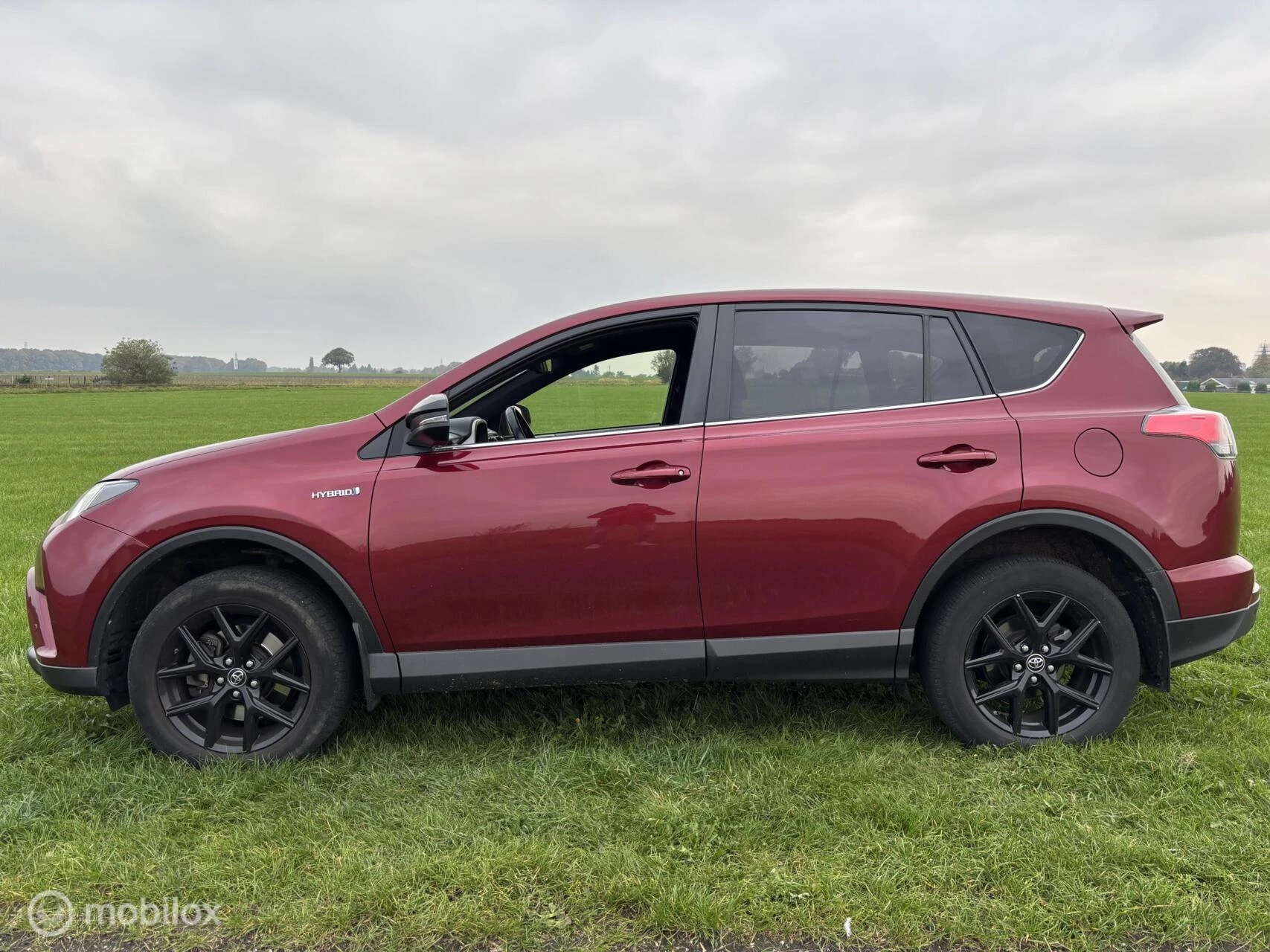 Hoofdafbeelding Toyota RAV4