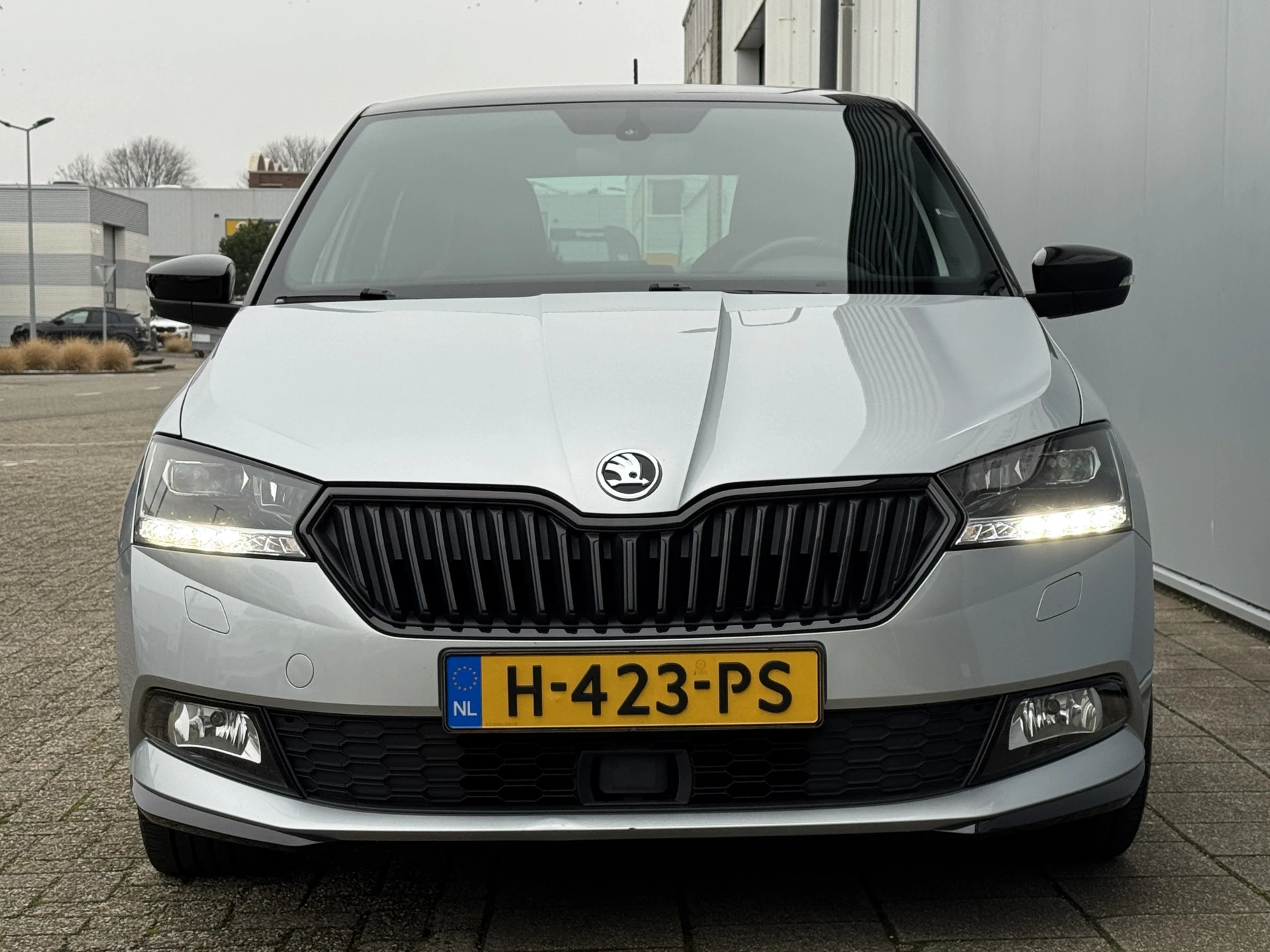 Hoofdafbeelding Škoda Fabia