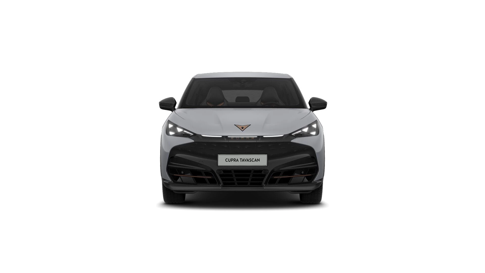 Hoofdafbeelding CUPRA Tavascan