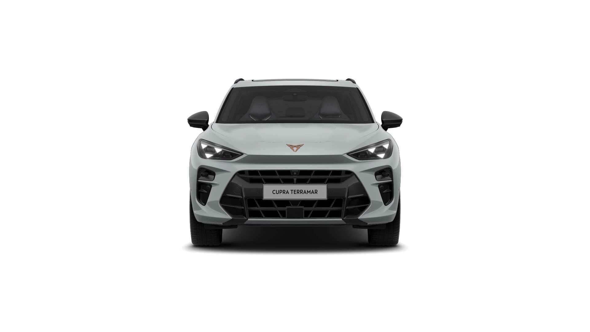 Hoofdafbeelding CUPRA Terramar