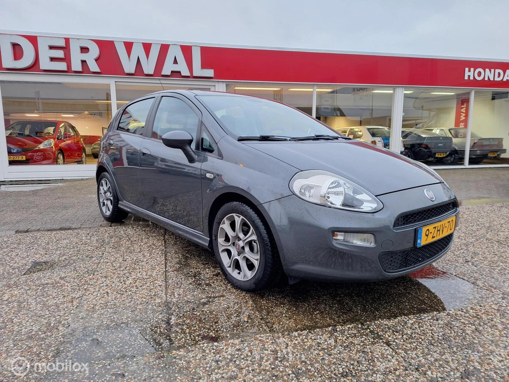 Hoofdafbeelding Fiat Punto