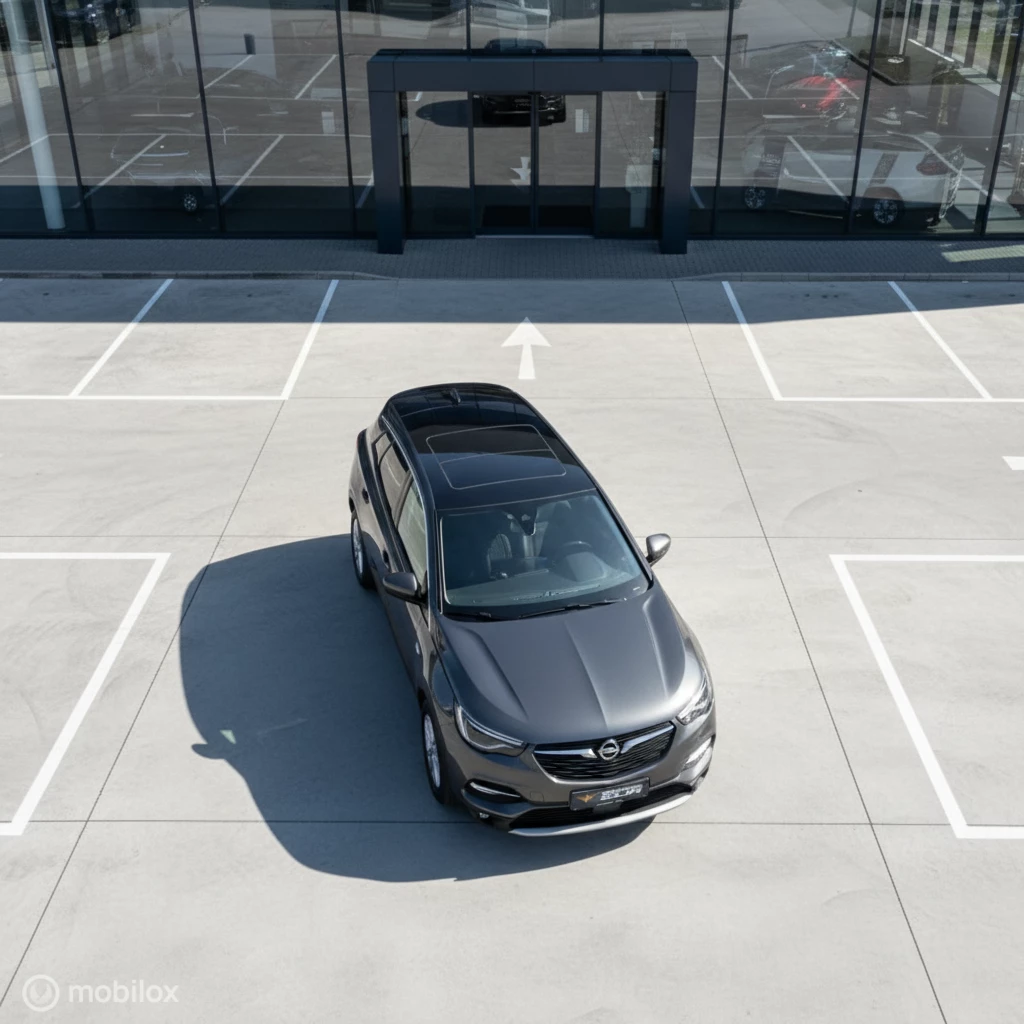 Hoofdafbeelding Opel Grandland X