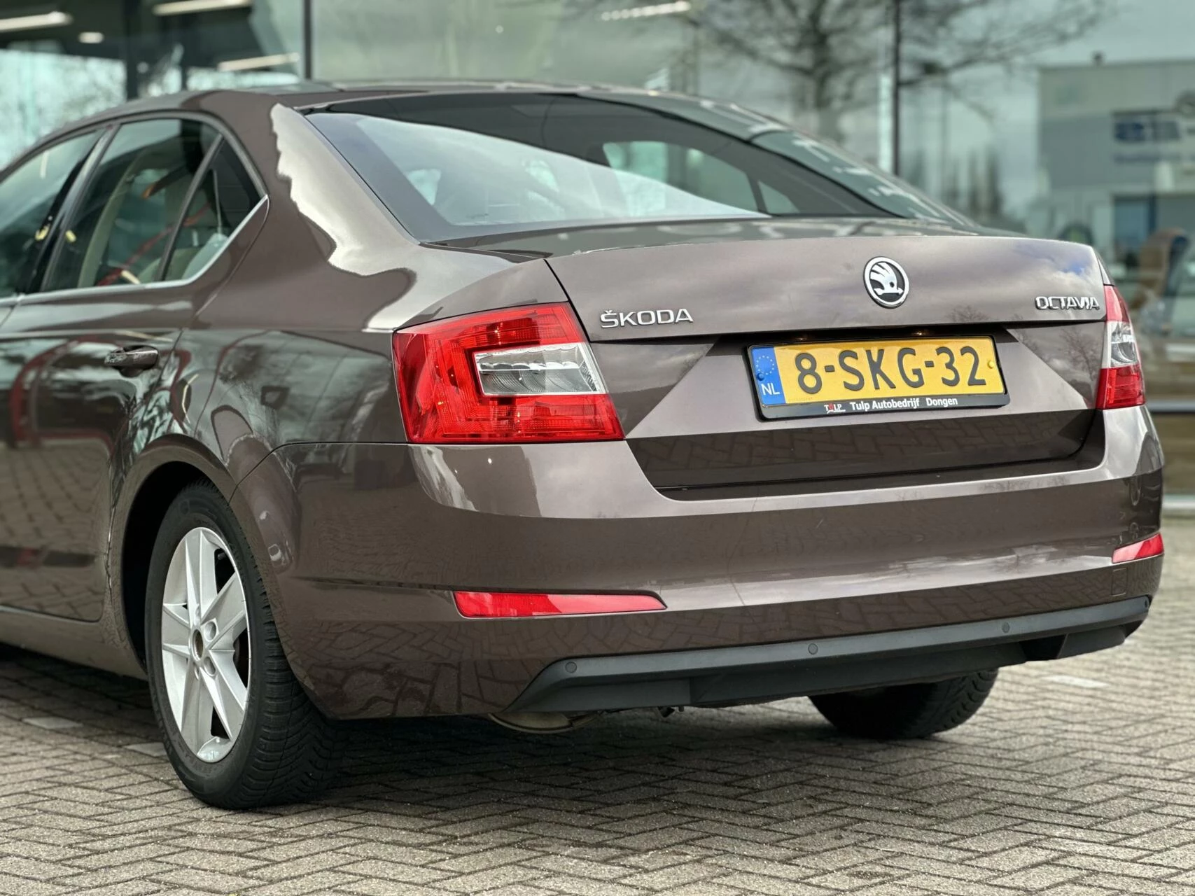 Hoofdafbeelding Škoda Octavia