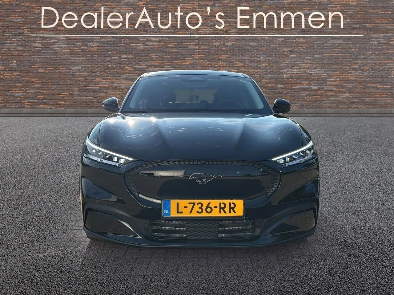 Hoofdafbeelding Ford Mustang Mach-E