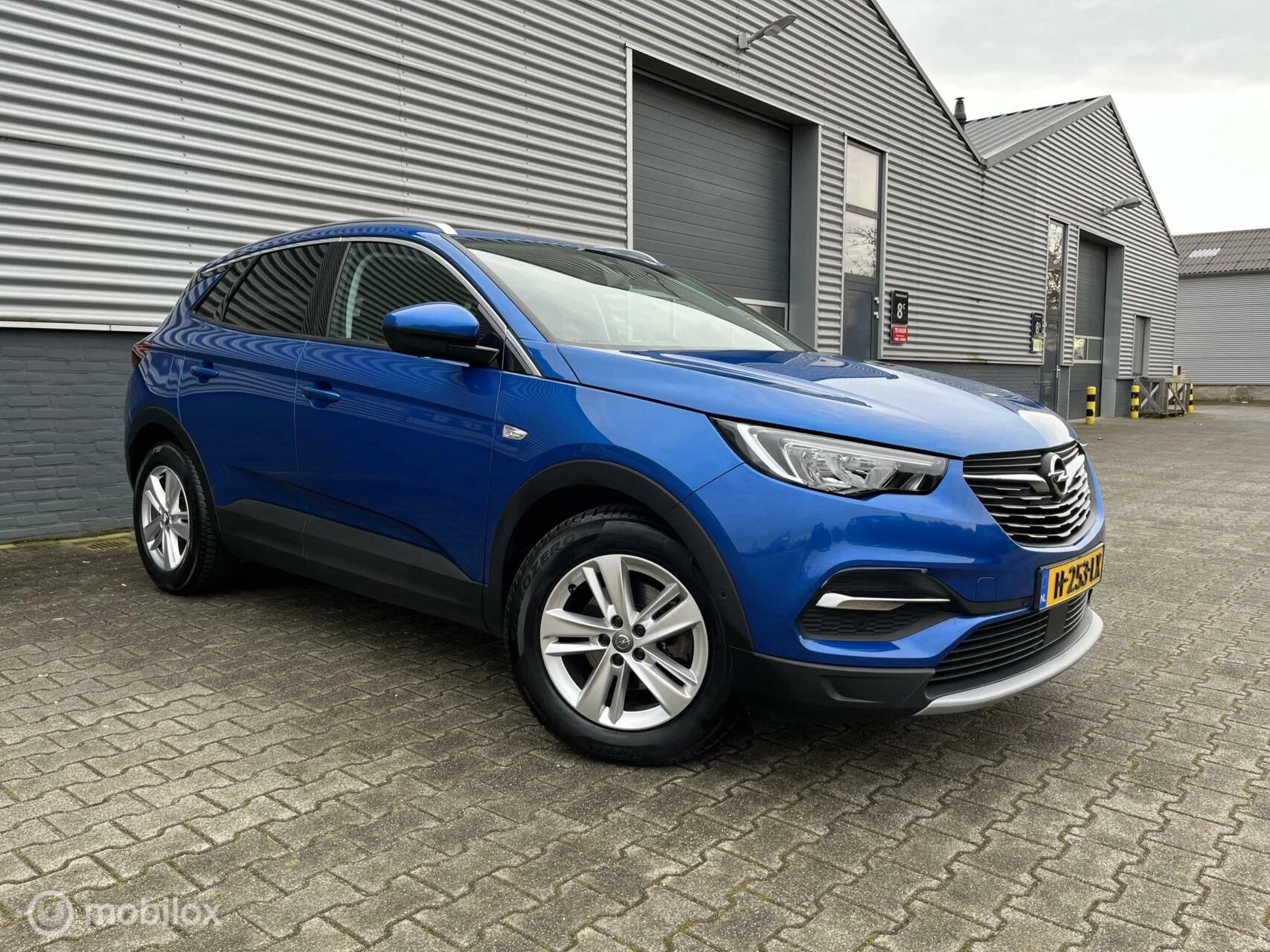 Hoofdafbeelding Opel Grandland X