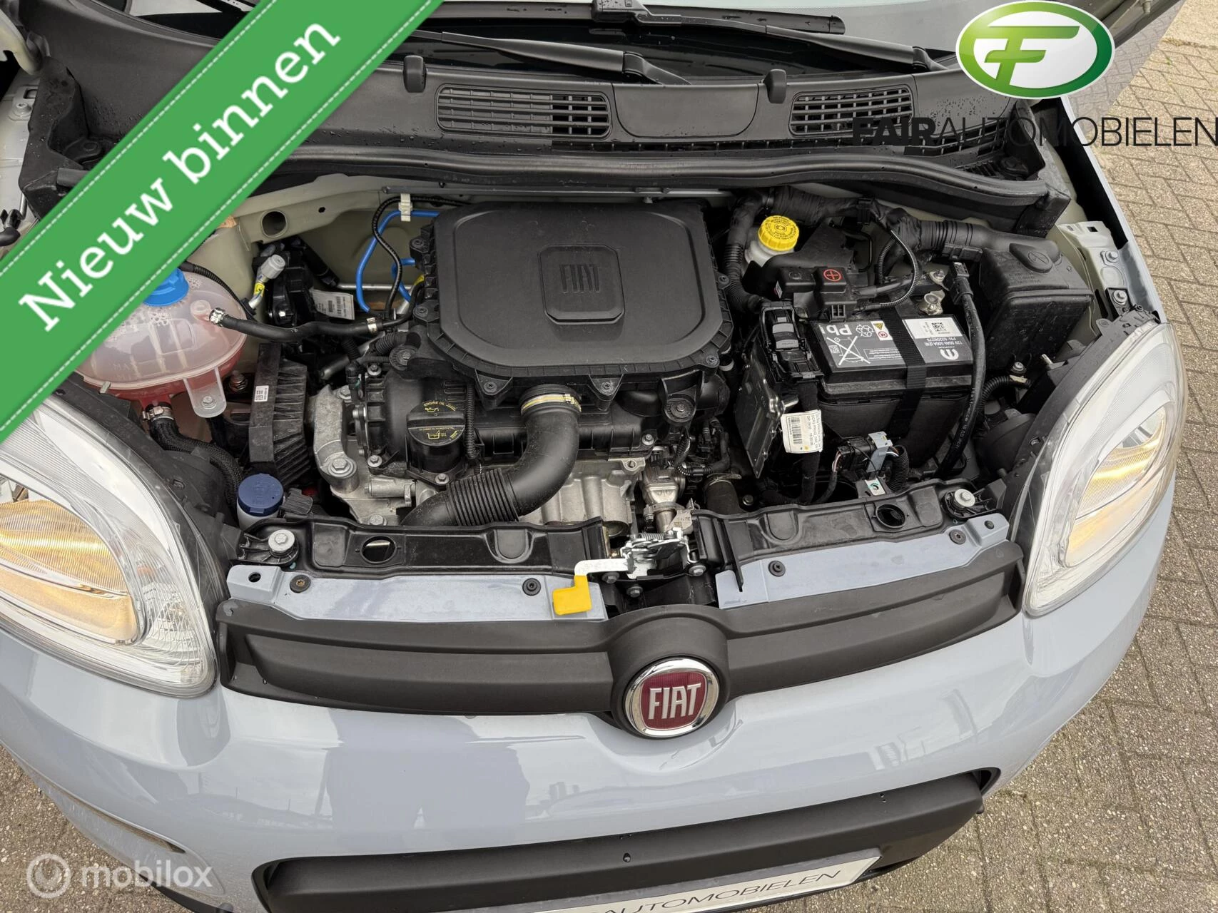 Hoofdafbeelding Fiat Panda