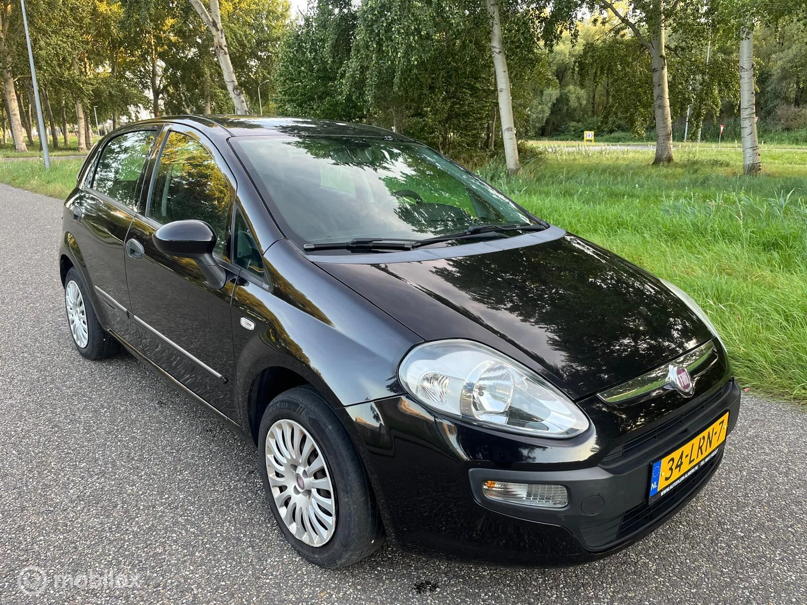 Hoofdafbeelding Fiat Punto