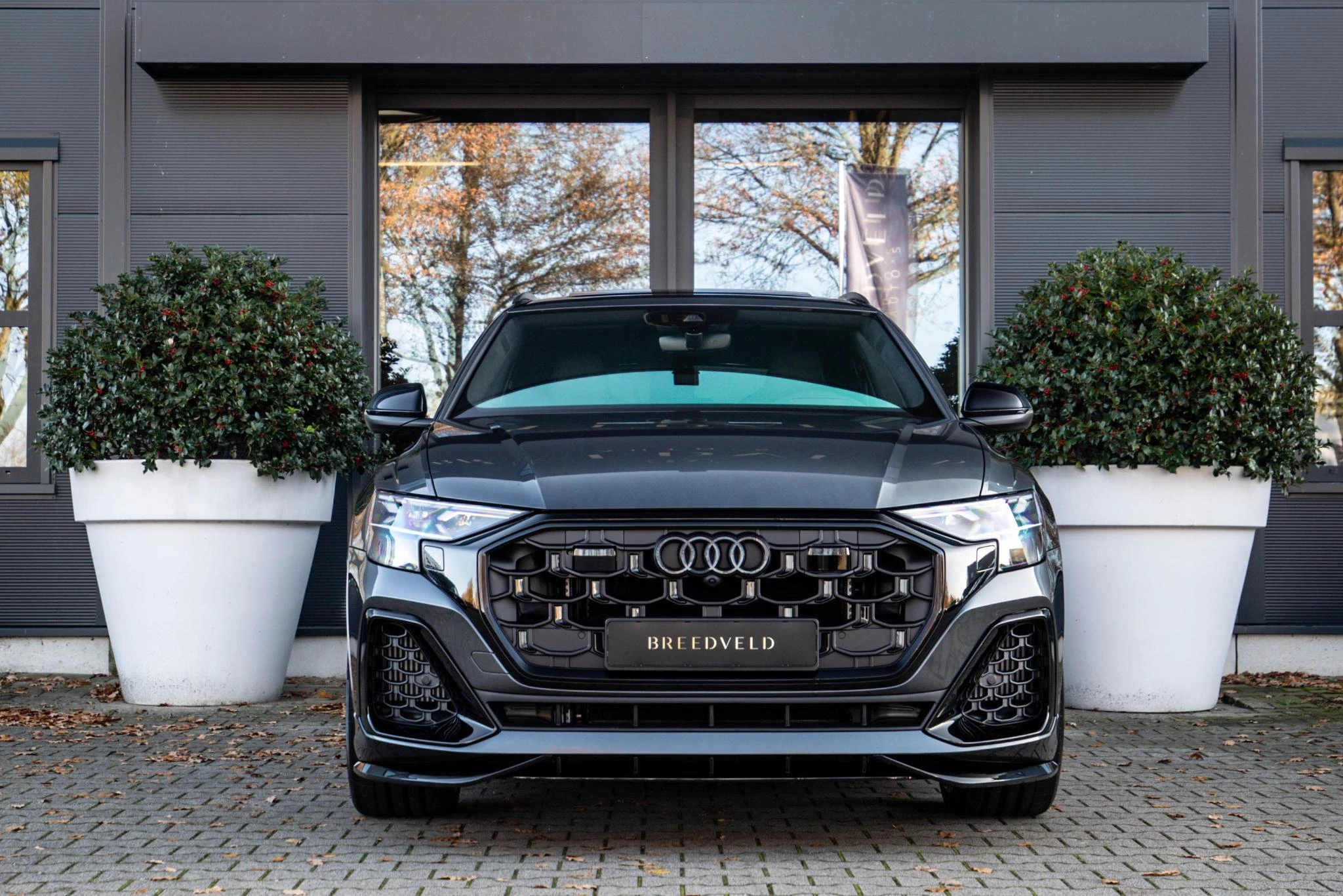 Hoofdafbeelding Audi Q8