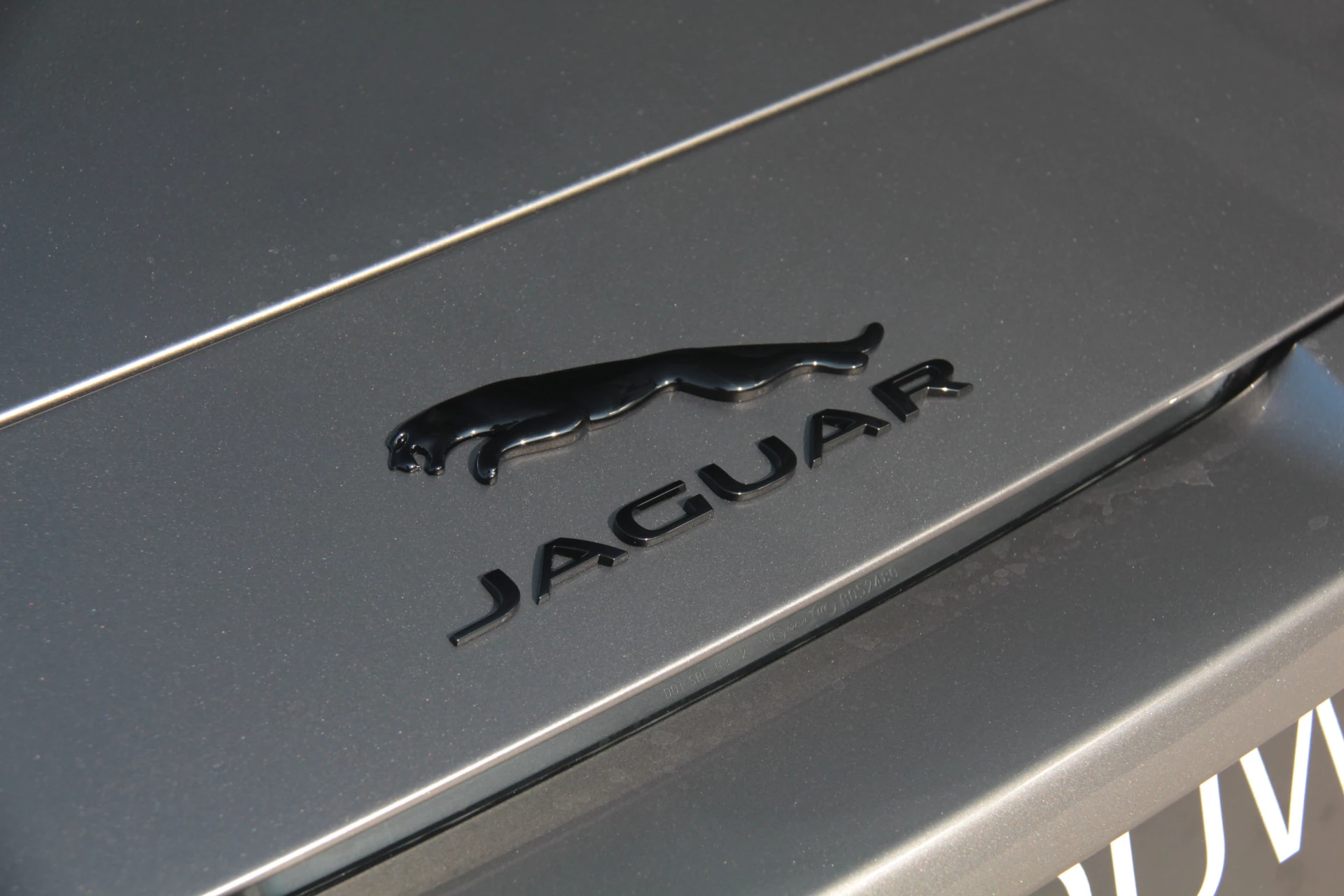 Hoofdafbeelding Jaguar F-Type