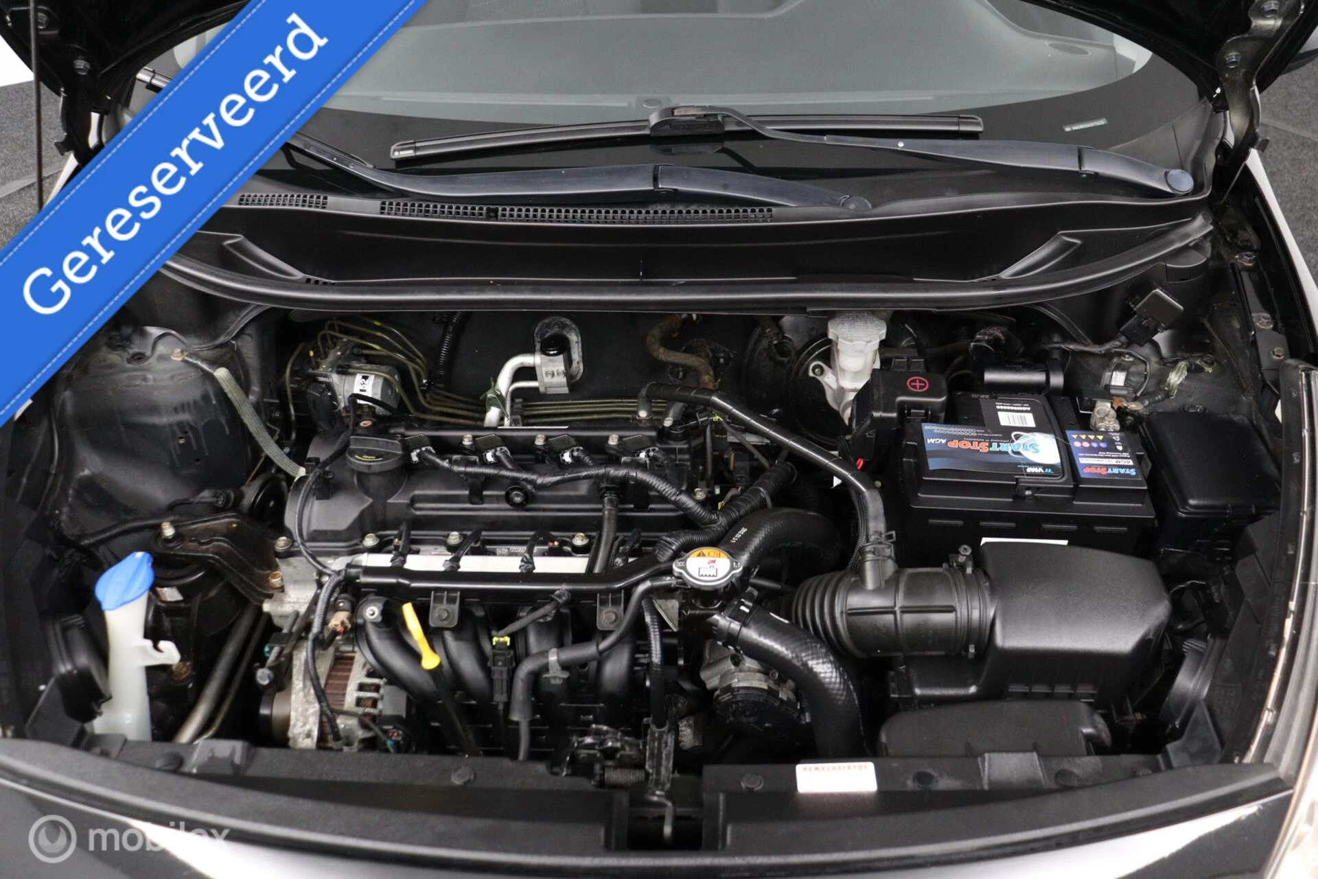 Hoofdafbeelding Kia Rio