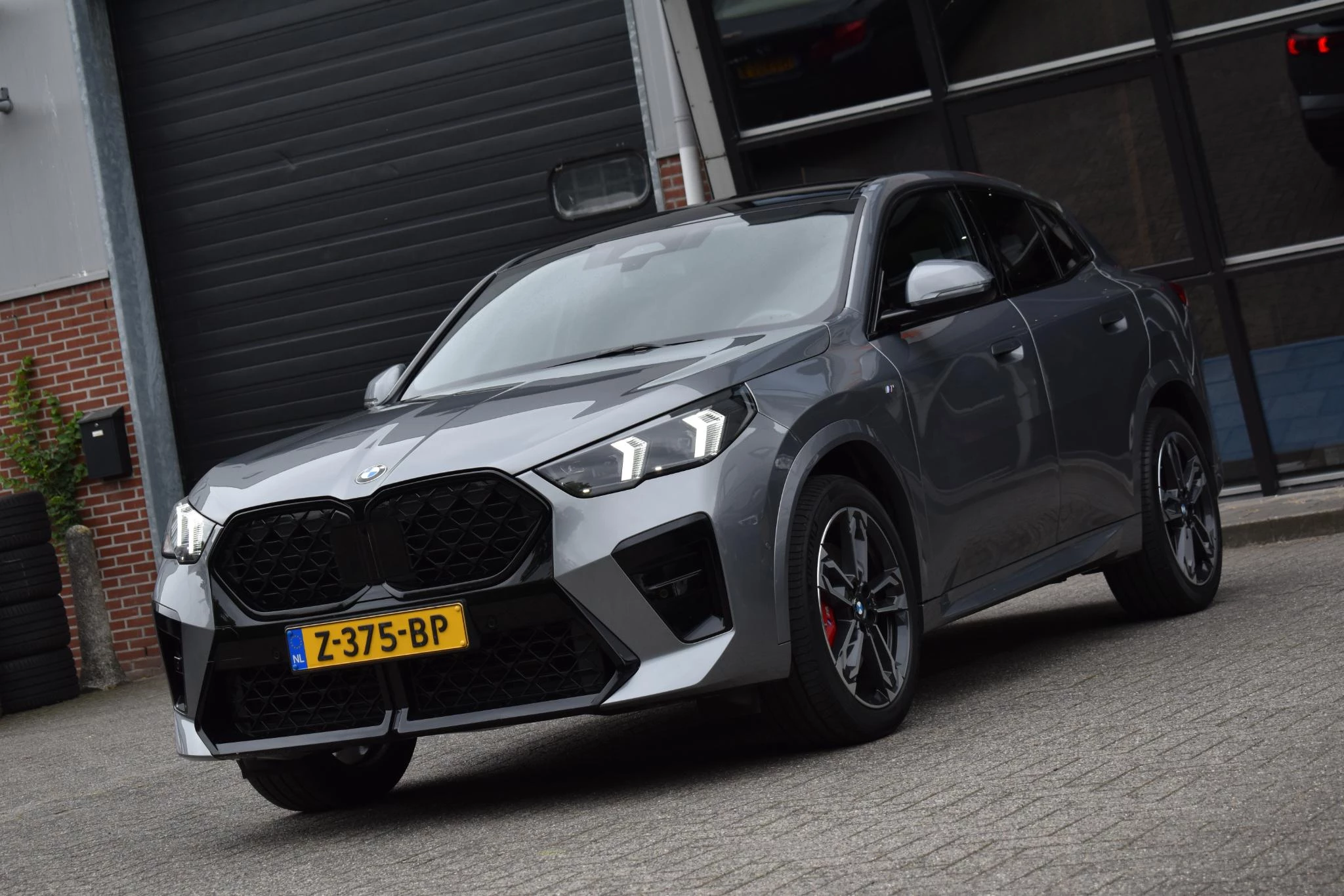Hoofdafbeelding BMW X2