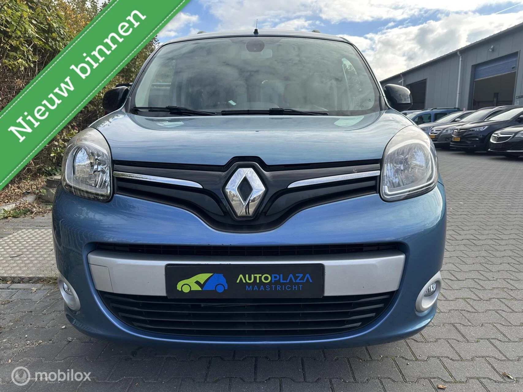 Hoofdafbeelding Renault Kangoo