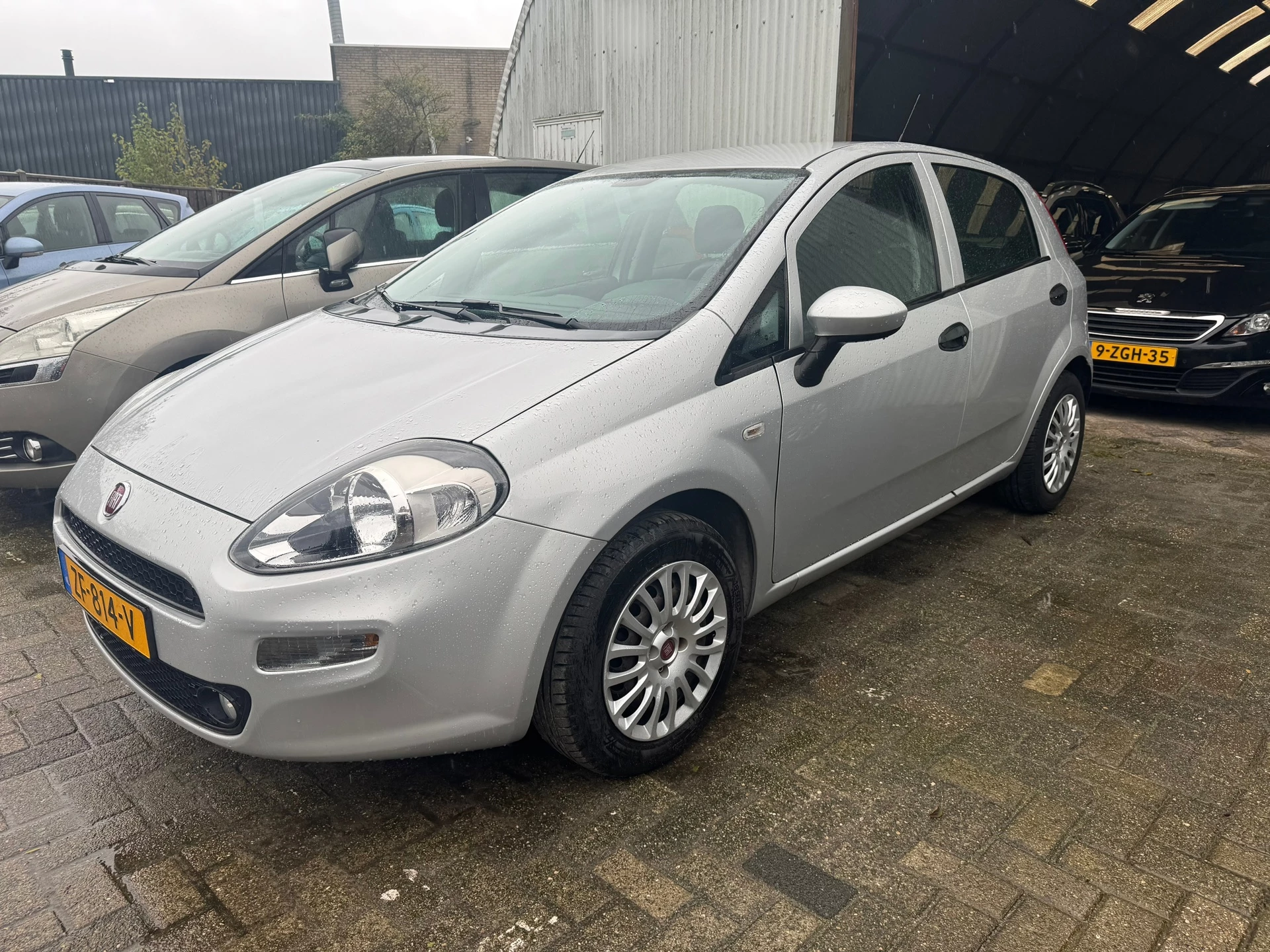 Hoofdafbeelding Fiat Punto