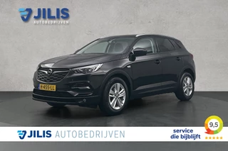 Opel Grandland X 1.2 Turbo Business Executive | Stoelverwarming | Cruise control | Apple Carplay