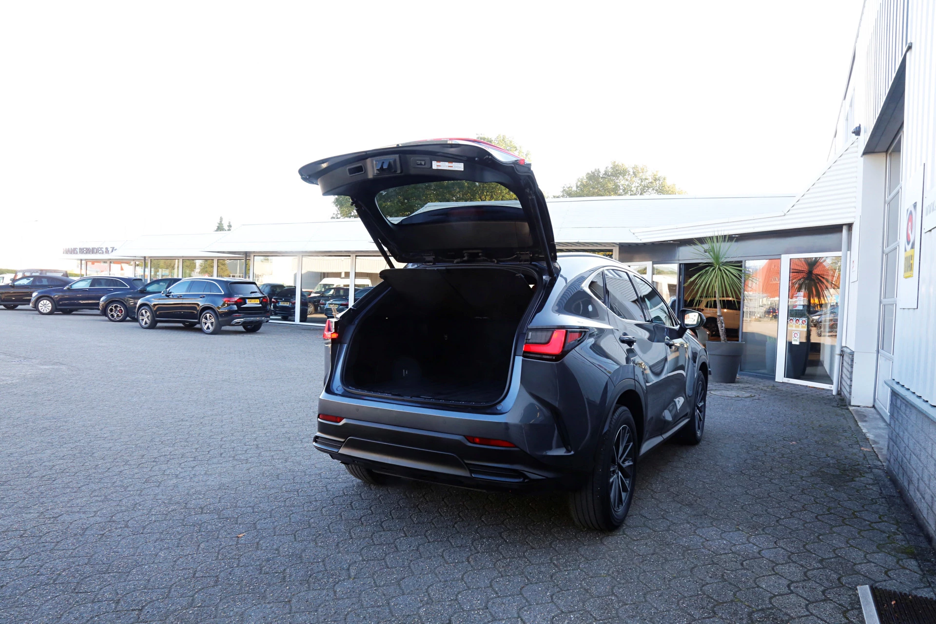 Hoofdafbeelding Lexus NX