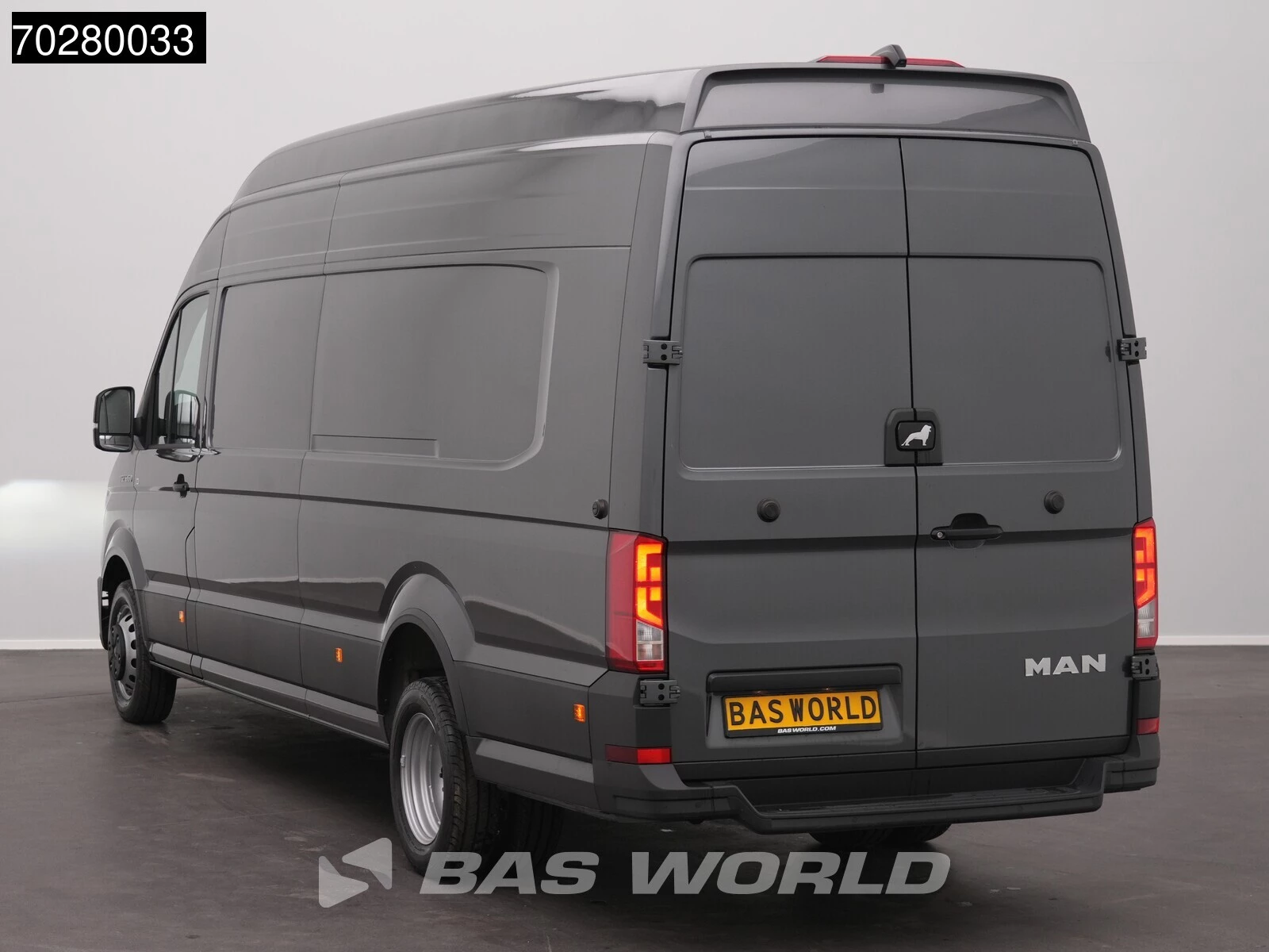 Hoofdafbeelding MAN TGE